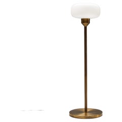 Stehlampe aus Messing und Opalglas/Stehlampe / Hotel Praha, 1970er Jahre
