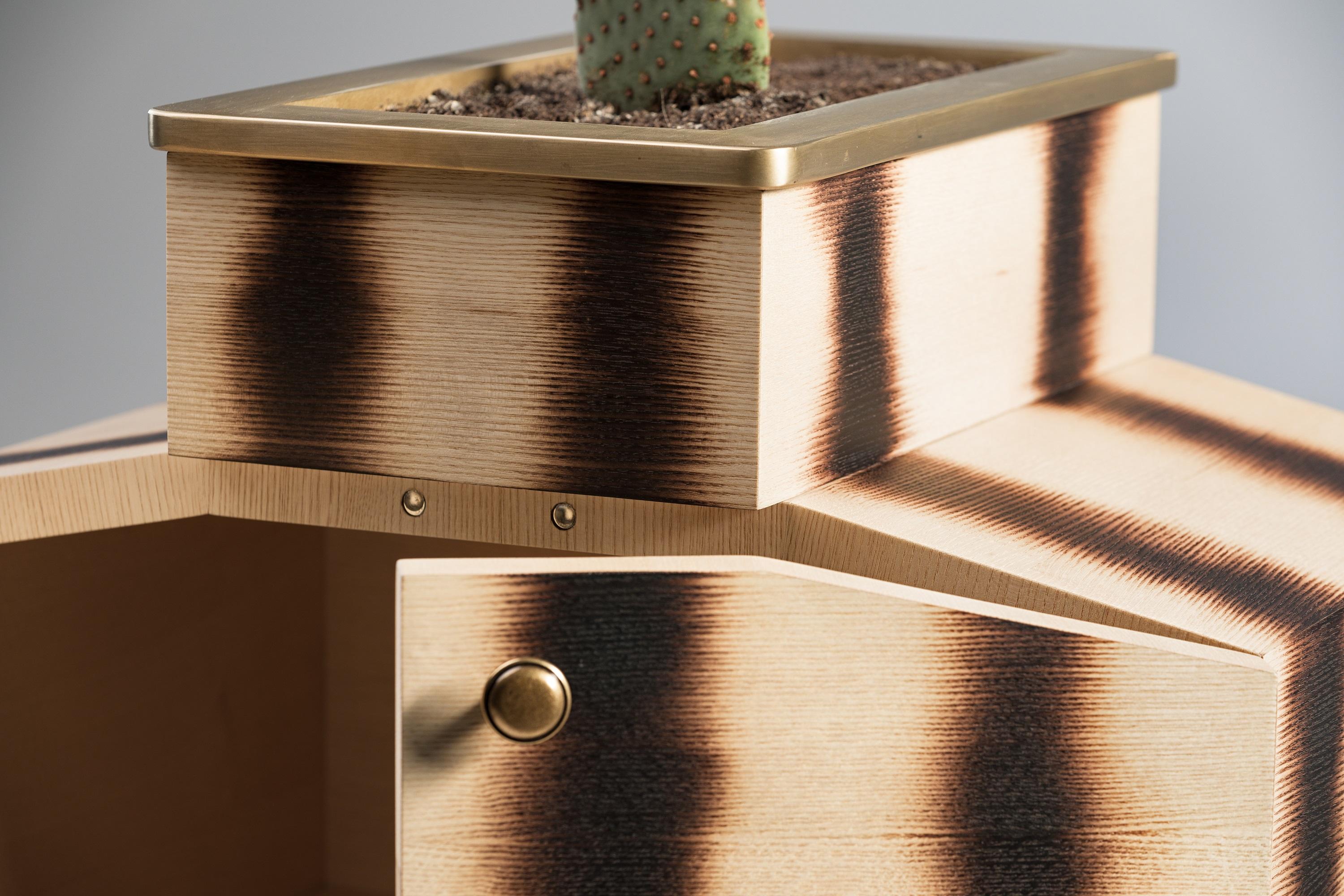 Ukrainien Brass And Solid Wood Bugs Cabinet by PANOPTIKUM COLLECTIONS en vente