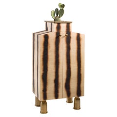 Armario para insectos de latón y madera maciza by PANOPTIKUM COLLECTIONS