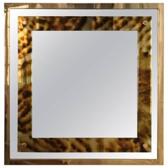 Brass and Tortoiseshell Lucite Mirror in the Style of Gabriella Crespi