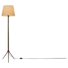 Brass and Wood Floor Lamp with Tripod Base by Lyfa, Denmark ca 1960s