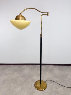 Brass art decoadjustable floor lamp