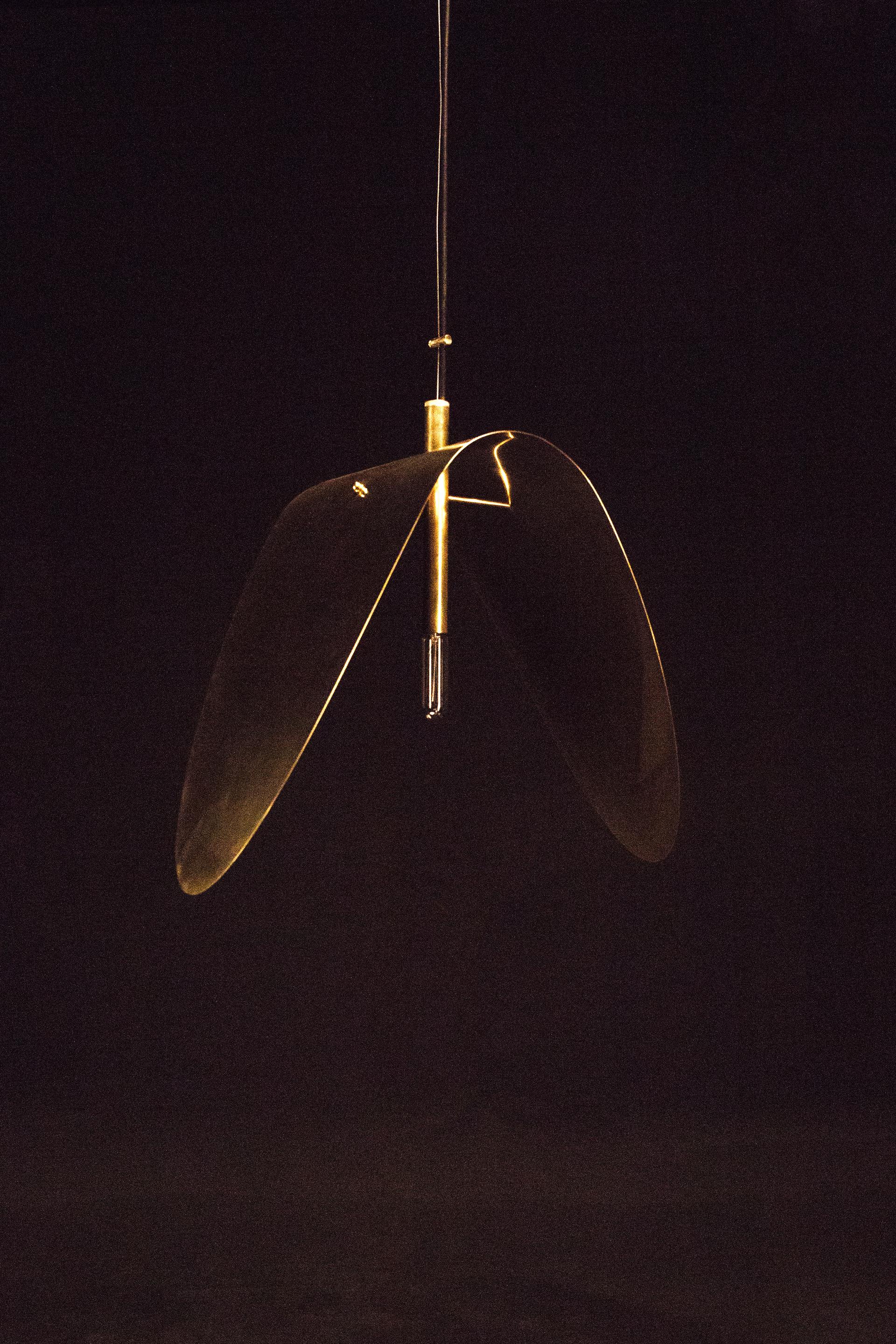 Russian Brass Banana Ceiling Pendant Light, Ivan Basov