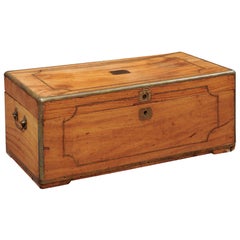 Brass Banded Camphor Wood Trunk, 19th Century England