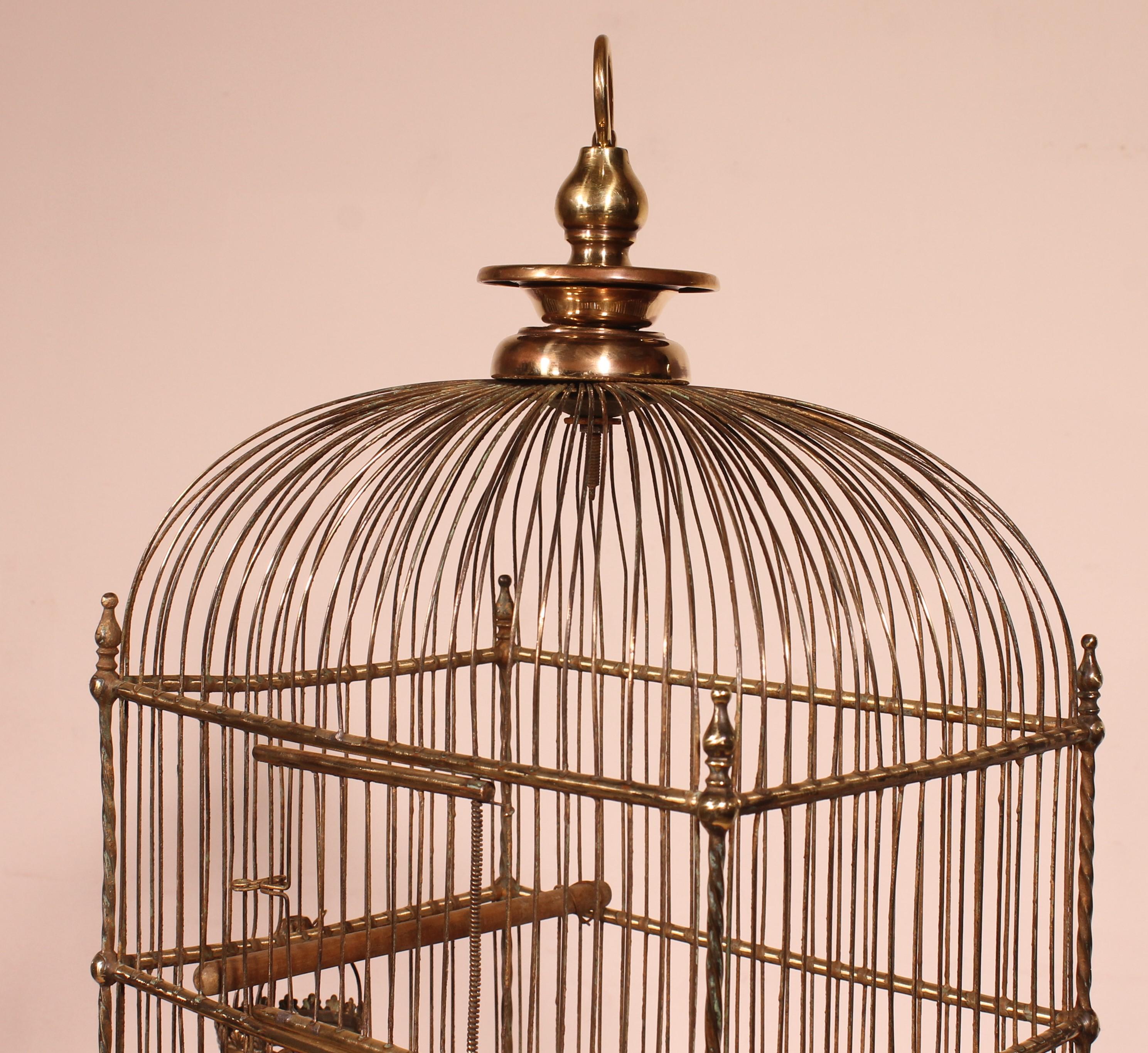 Vogelkäfig aus Messing – 19. Jahrhundert (Britisch) im Angebot