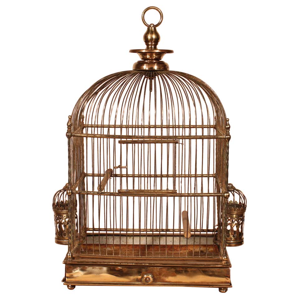 French Midcentury Brass Circular Birdcage with Decorative Bird For Sale ...