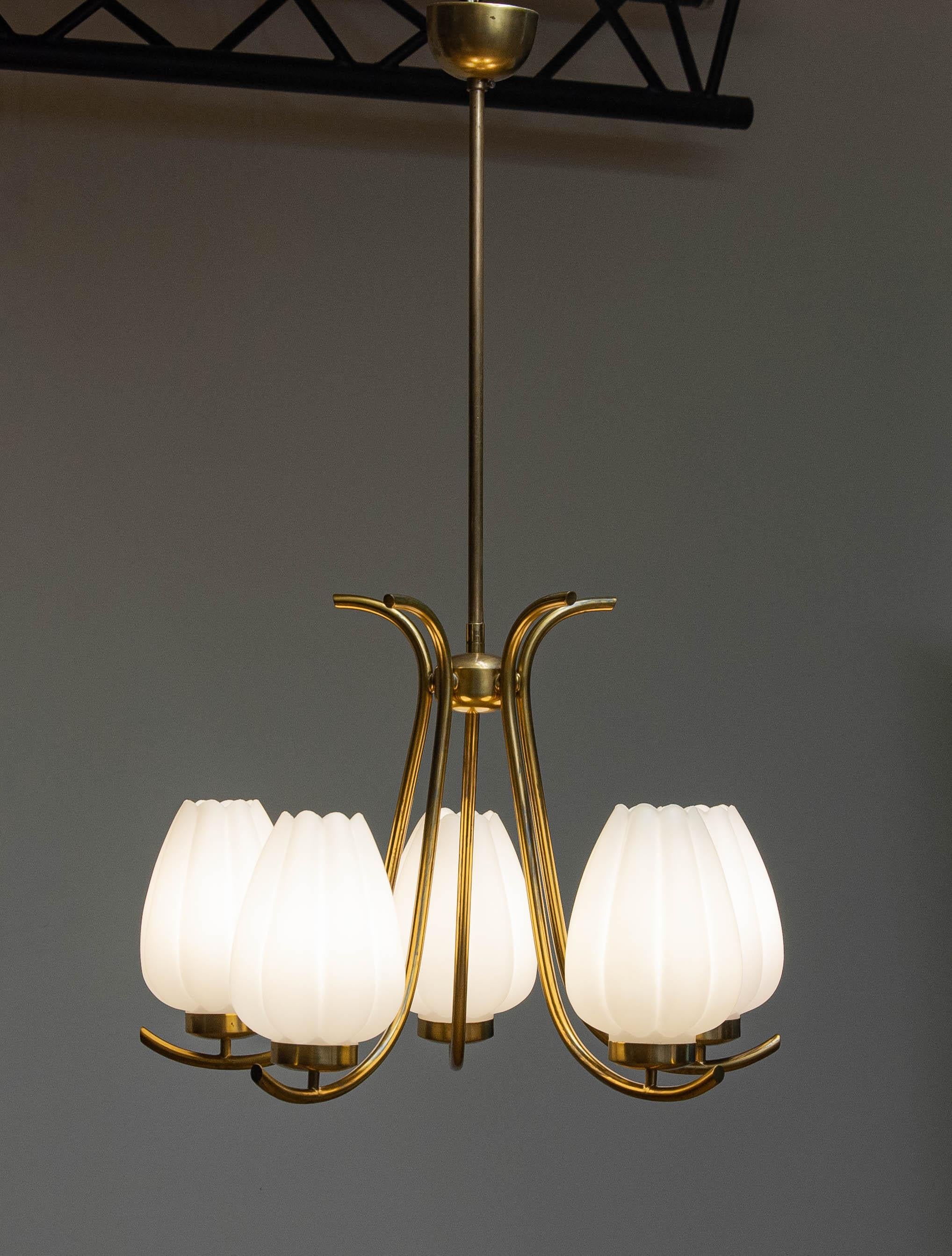 Scandinavian Modern Brass Böhlmarks Chandelier Supporting Large Opal Glass Tulip Vases Sweden 1940s For Sale