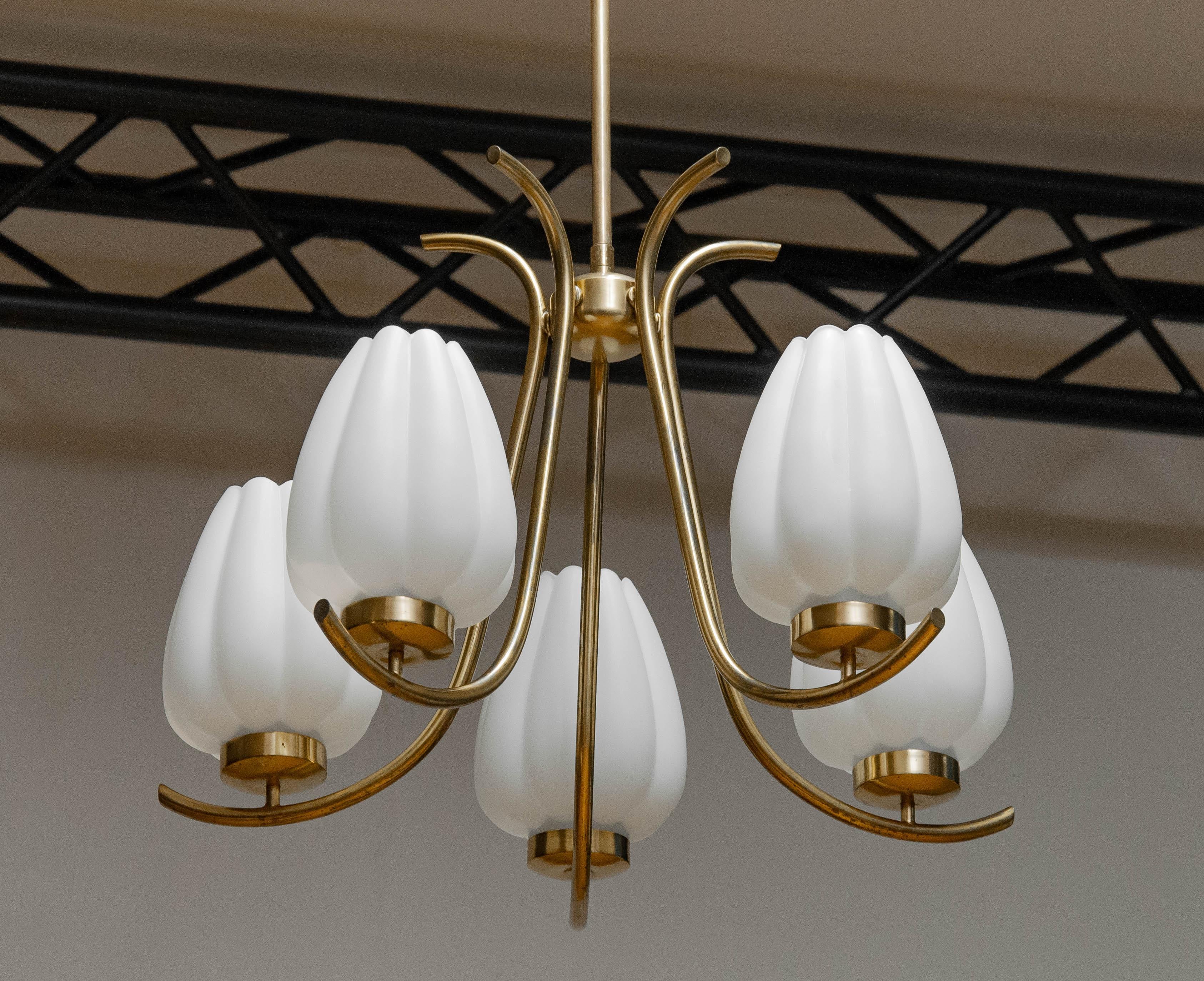 Brass Böhlmarks Chandelier Supporting Large Opal Glass Tulip Vases Sweden 1940s For Sale 1