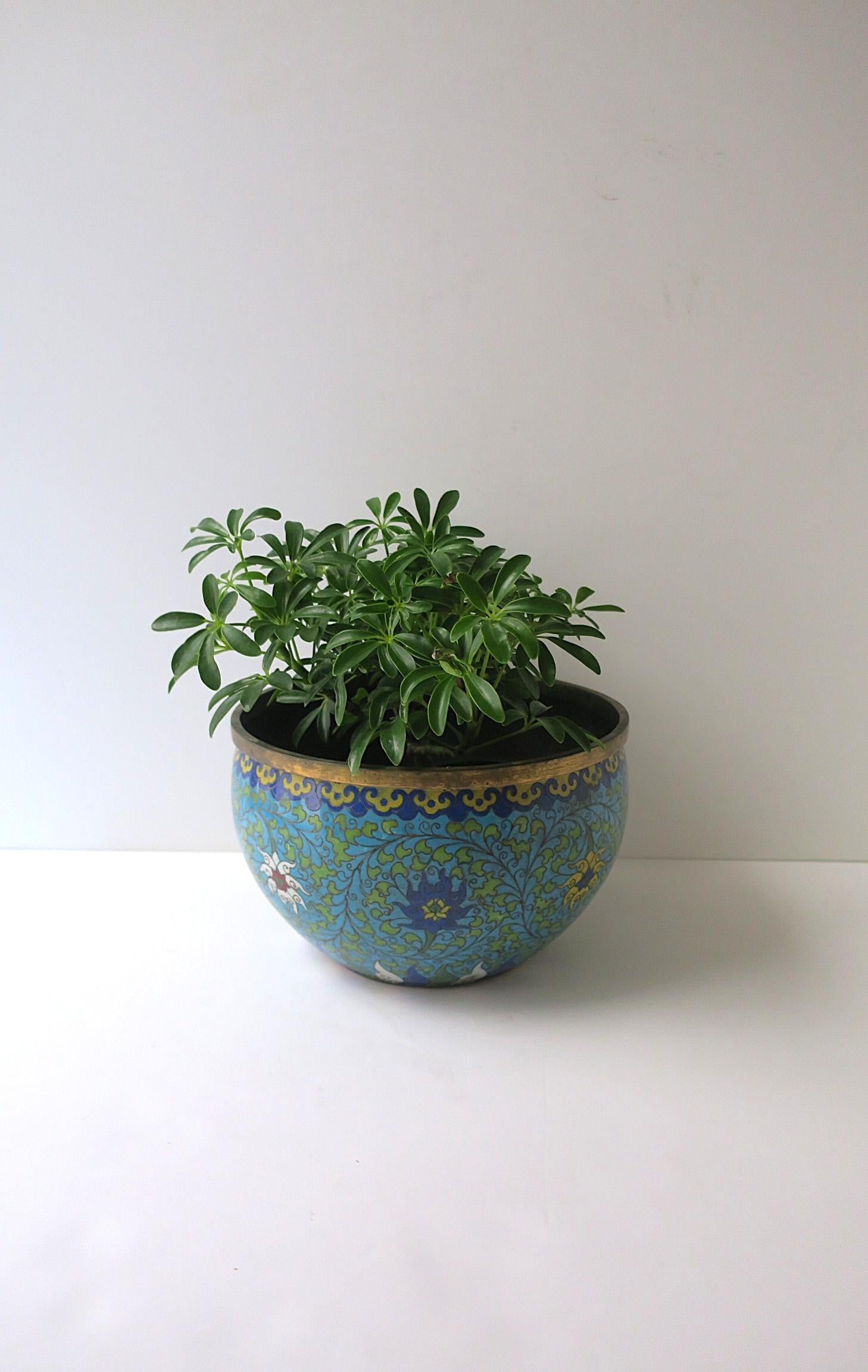 19th Century Brass Bowl Planter Cachepot Jardinière Enamel Cloisonné, Ming Style For Sale