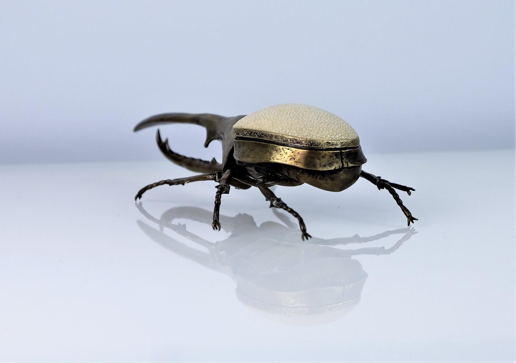 brown scarab