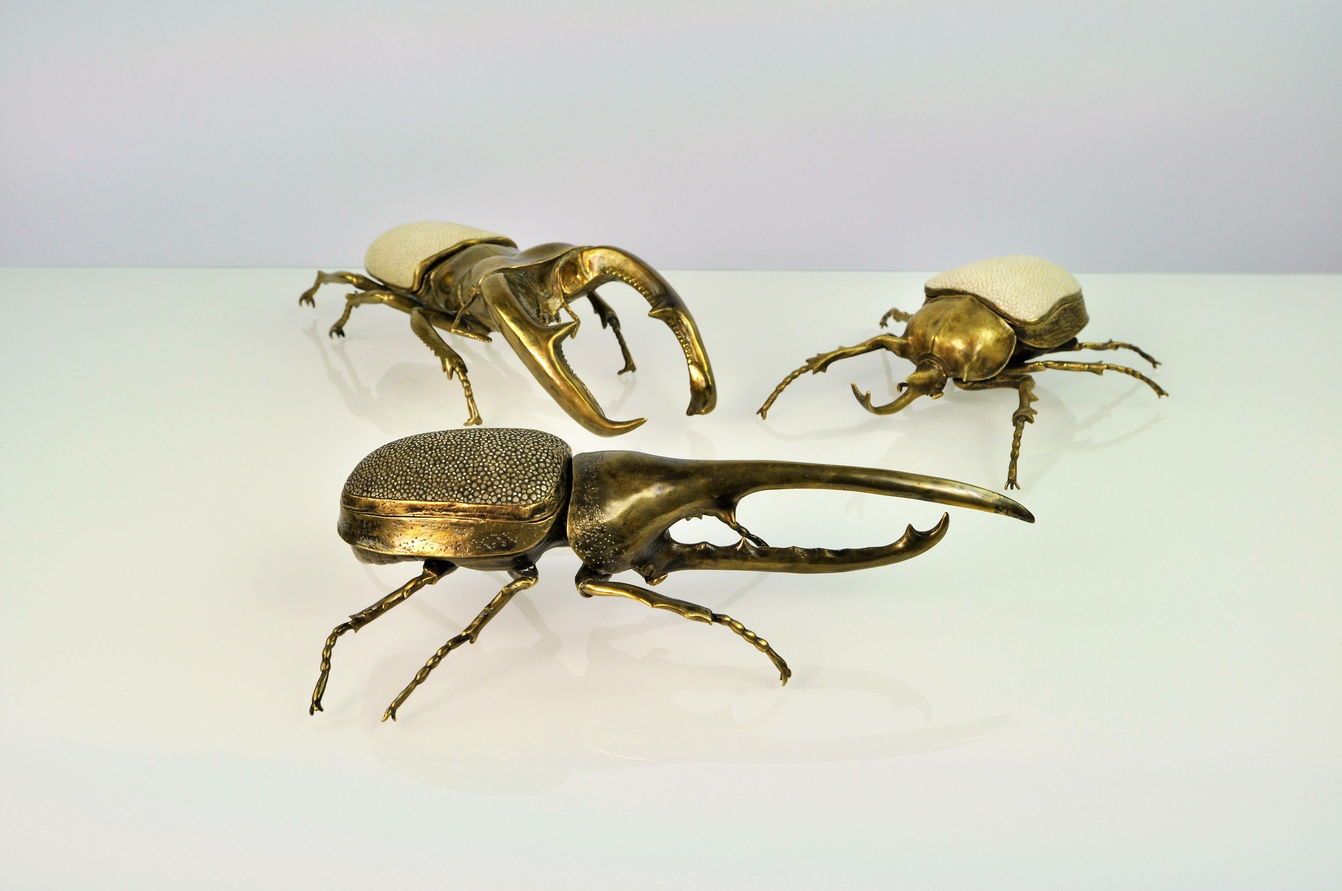 Brass Box Hercules Scarab by Ginger Brown In New Condition For Sale In Bourguebus, FR