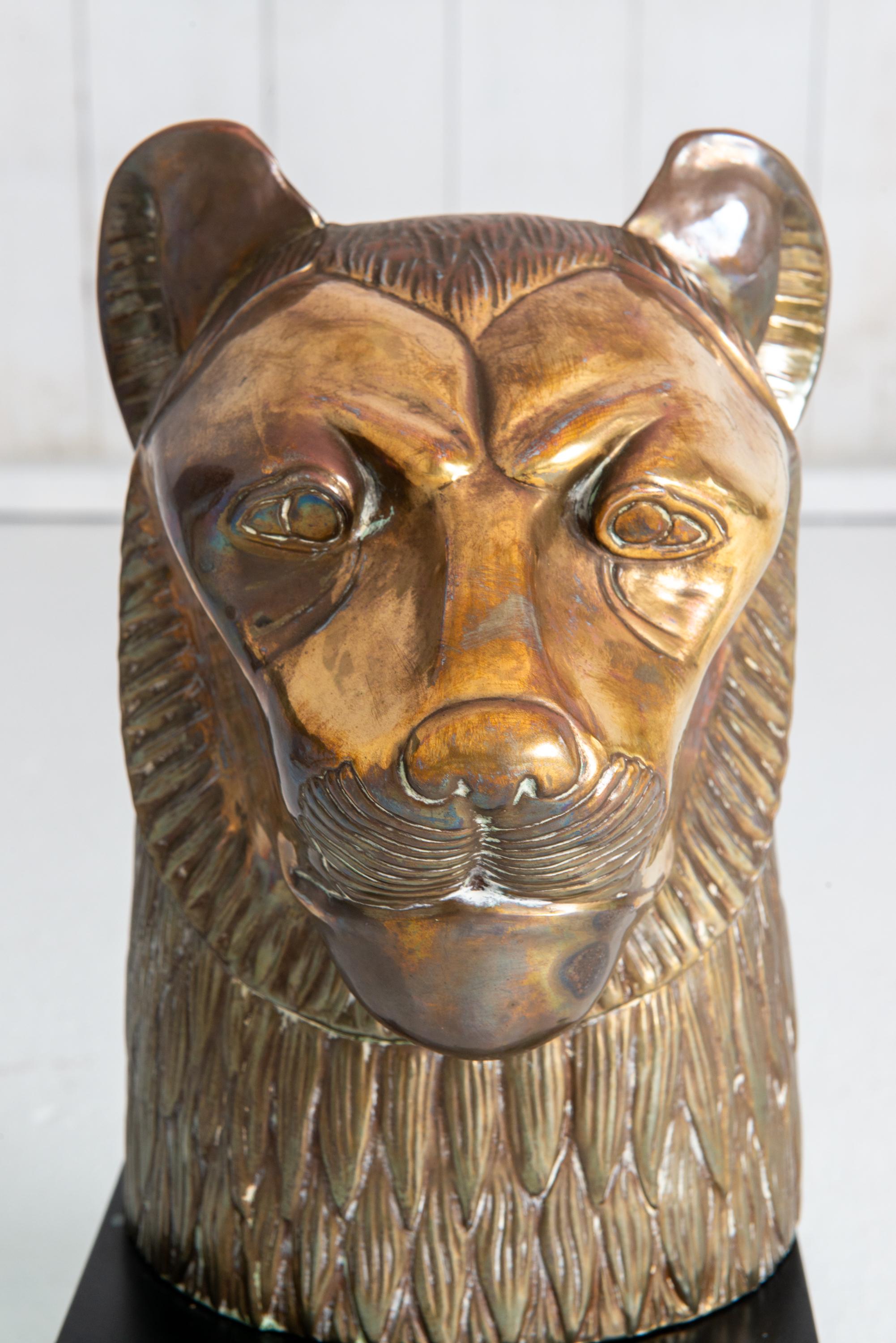 A beautifully detailed brass lion bust on a black wood base. This stunning piece is attributed to the high quality company, the Chapman Manufacturing Company, probably created in the 1970s. The black wood base is 8