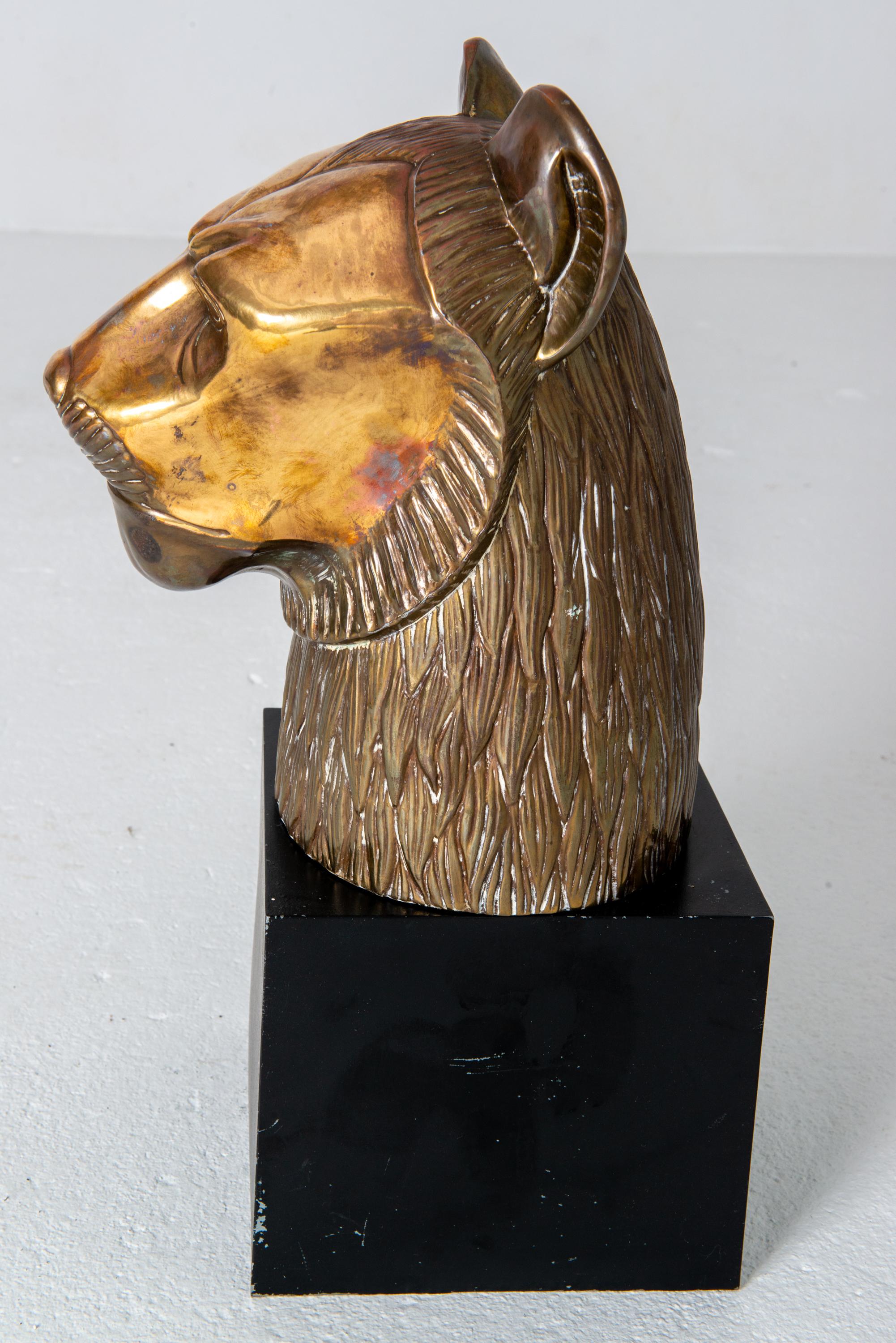 Brass Bust of Lion by Chapman For Sale 2