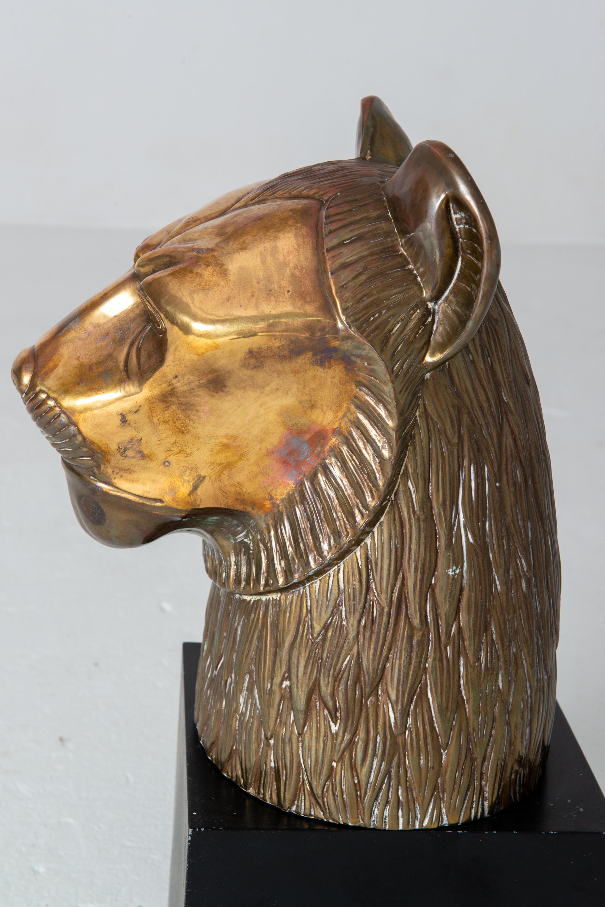 Brass Bust of Lion by Chapman For Sale 3