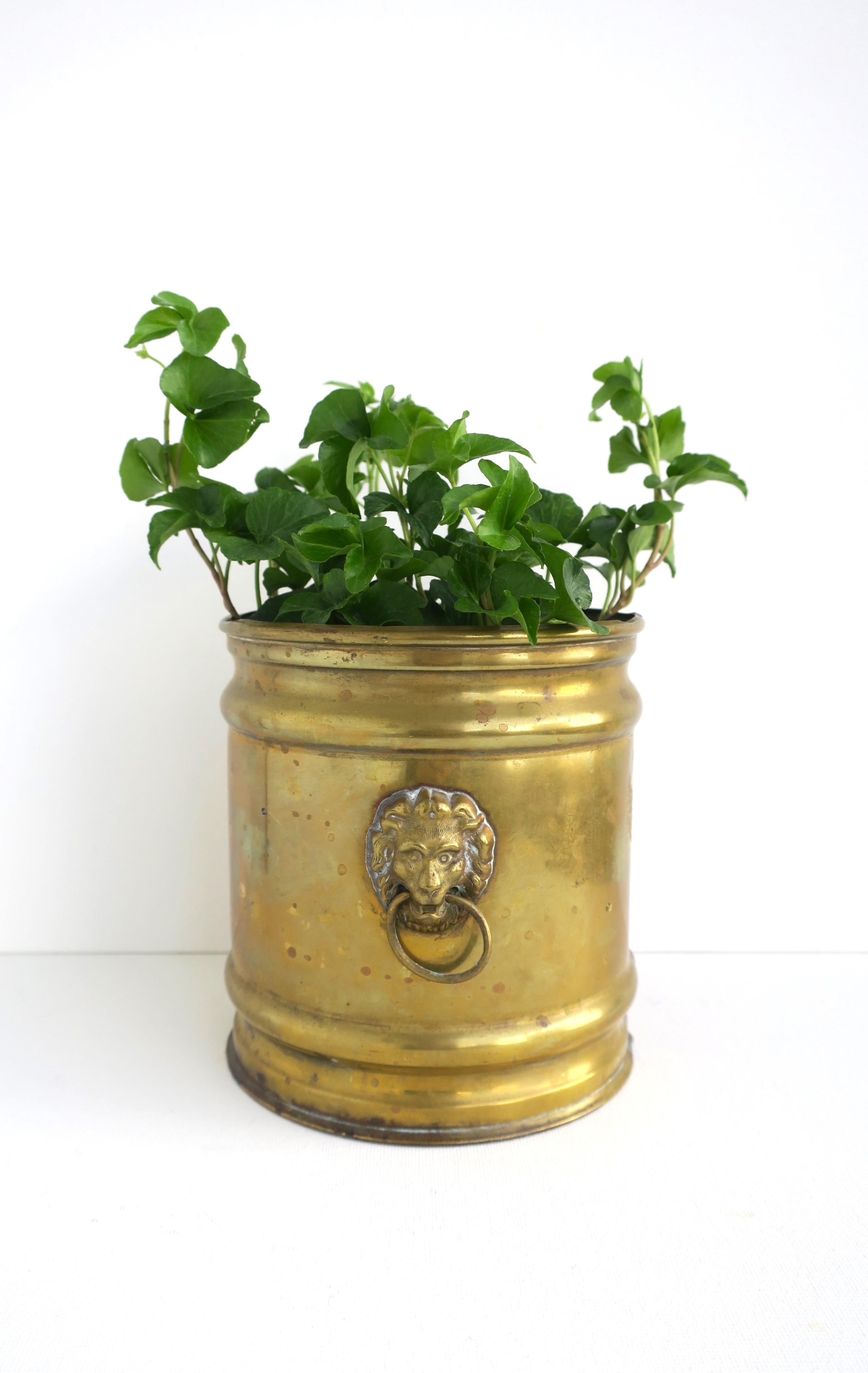 Regency English Brass Planter Cachepot Jardinière with Lion Head Design For Sale