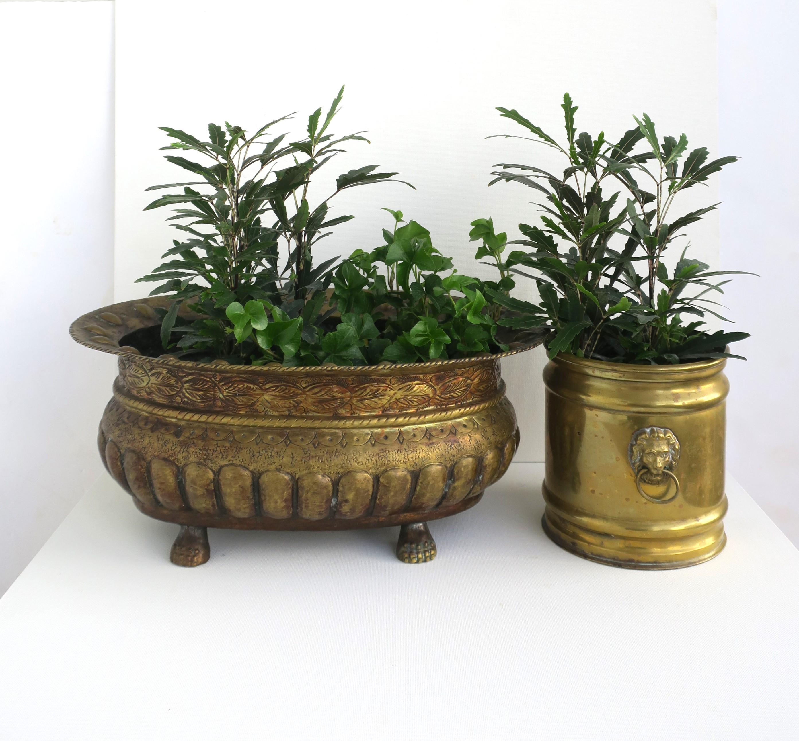 English Brass Planter Cachepot Jardinière with Lion Head Design In Good Condition For Sale In New York, NY