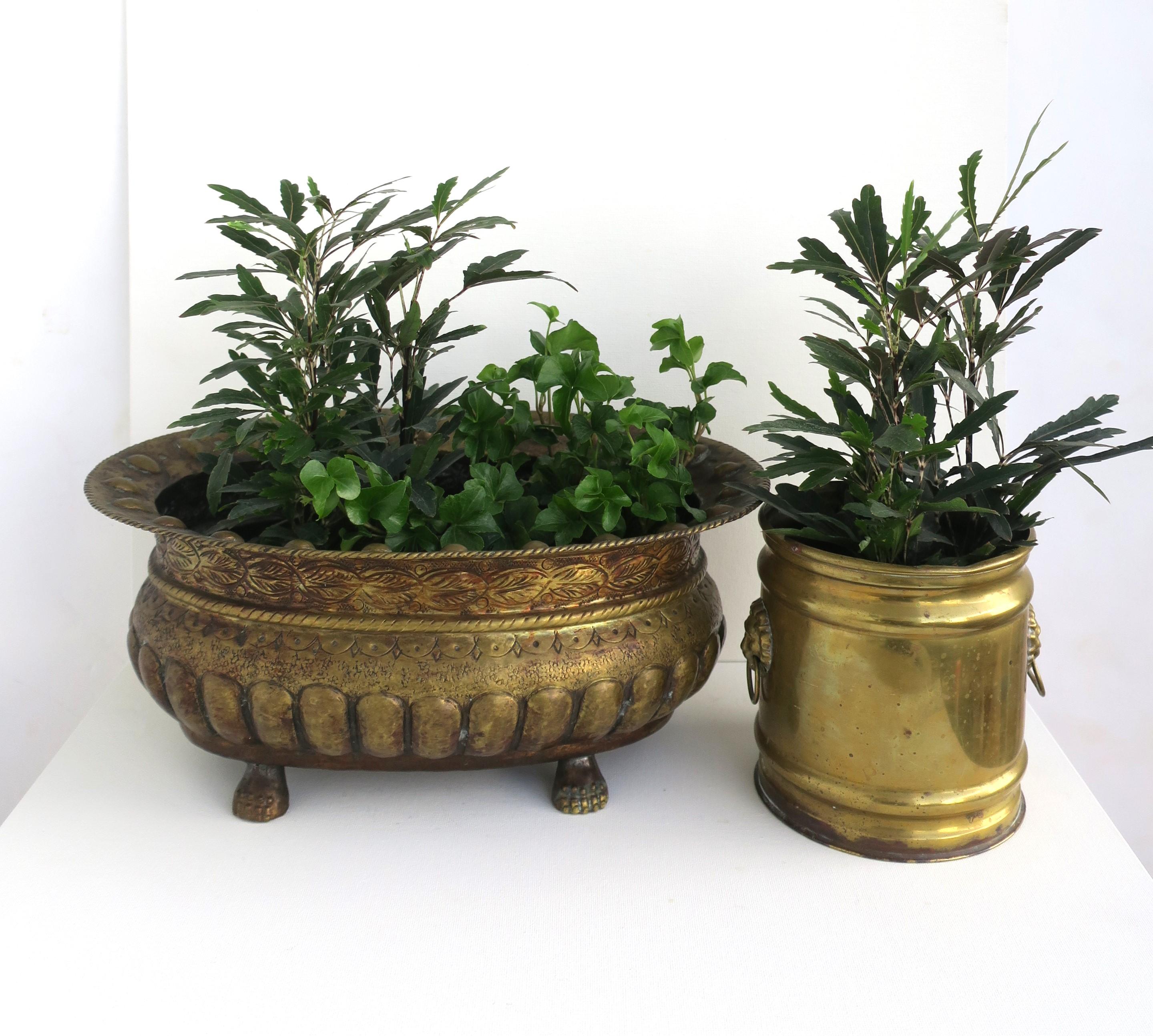English Brass Planter Cachepot Jardinière with Lion Head Design In Good Condition For Sale In New York, NY