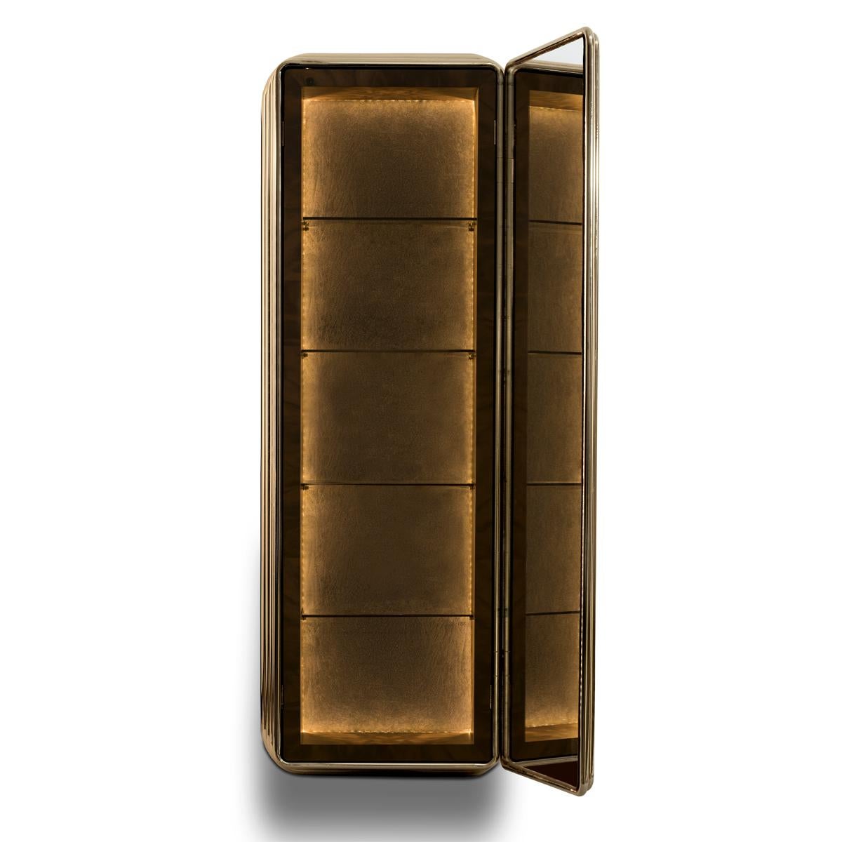 Contemporary Brass Case Cabinet in Solid Walnut Root and Gold Plated Brass For Sale