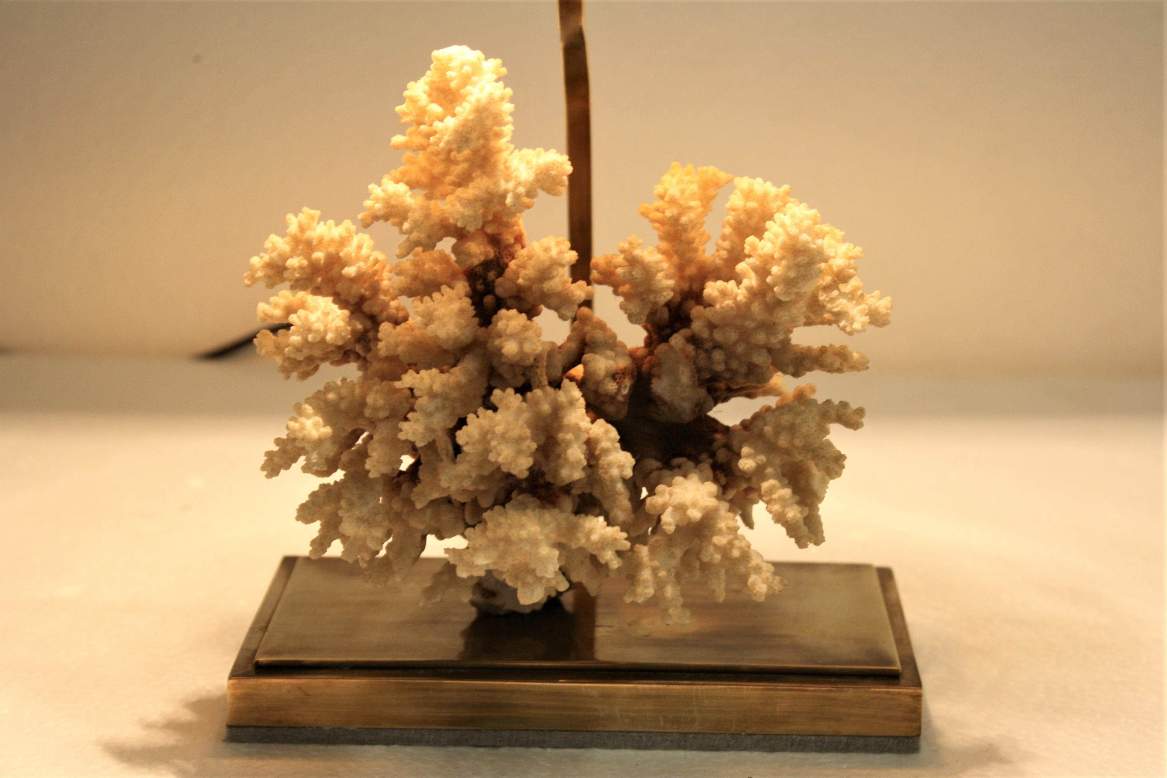 Brass Coral Table Lamp, 1970s 4