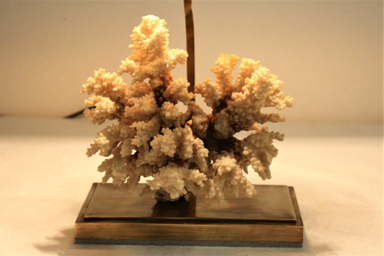 Brass Coral Table Lamp, 1970s For Sale 4