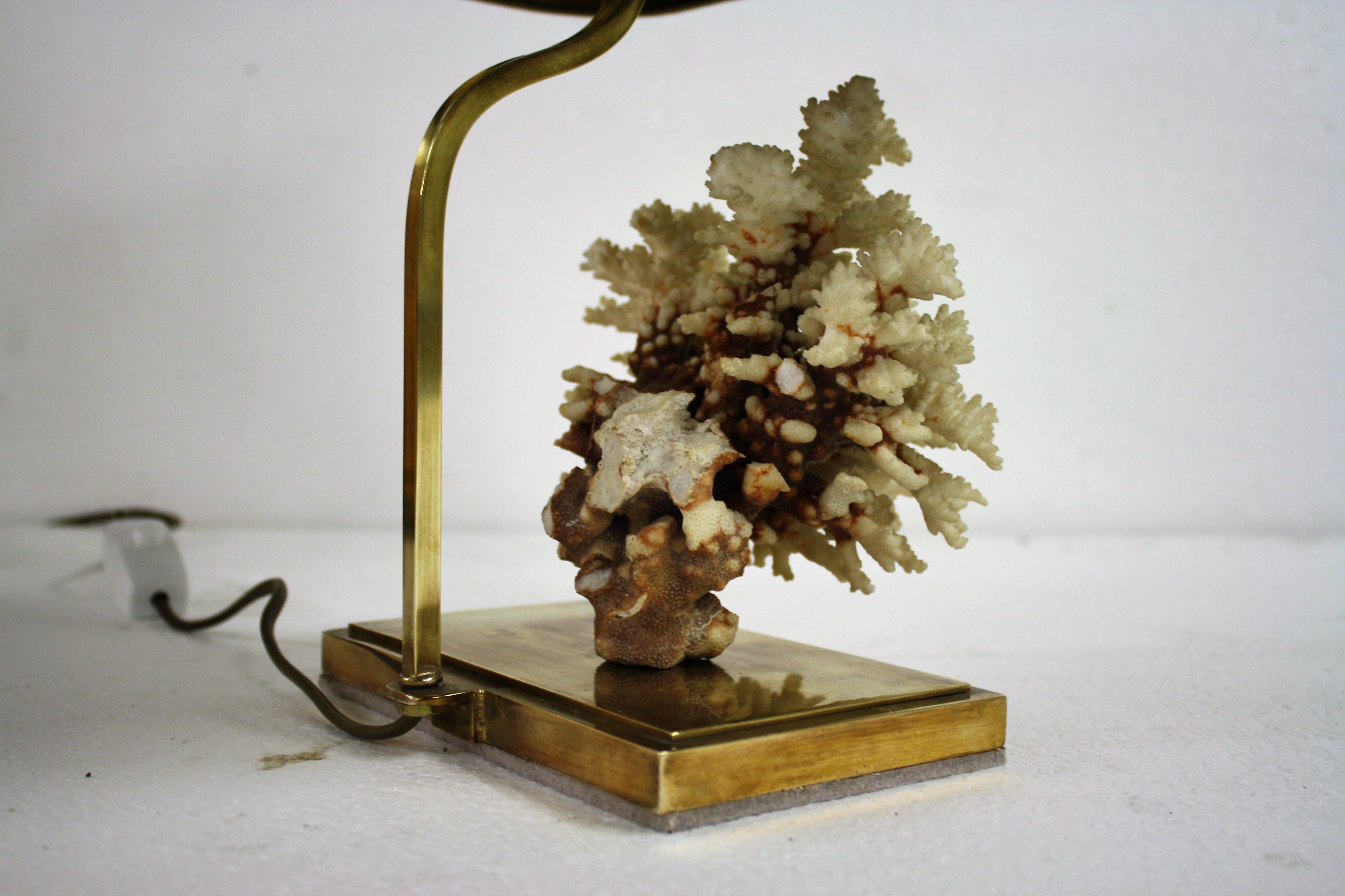 Charming real coral table lamp.

The table lamp consists of a real coral mounted on a patinated brass base.

This natural lamp brings a lovely sea-like atmosphere into a room.

The piece of coral has not been tempered with and is in full
