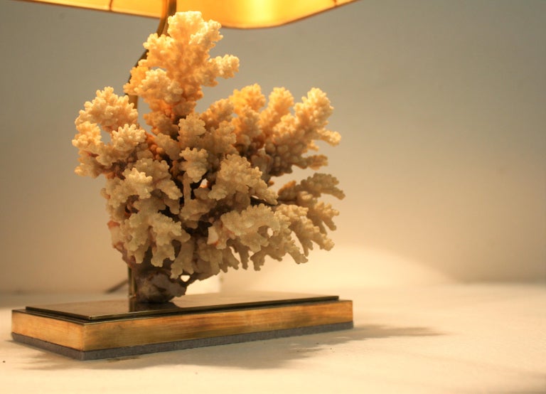 Late 20th Century Brass Coral Table Lamp, 1970s For Sale