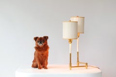 Brass Dual Swing Lamp Attributed to Casey Fantin