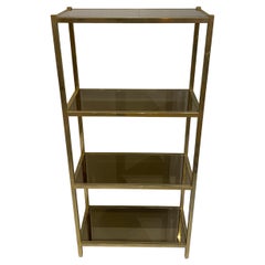 Estantería de latón con espejo ahumado Vitrina de los años 70