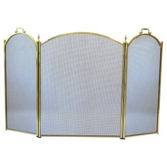 Brass Fireplace Screen with Finial Detail