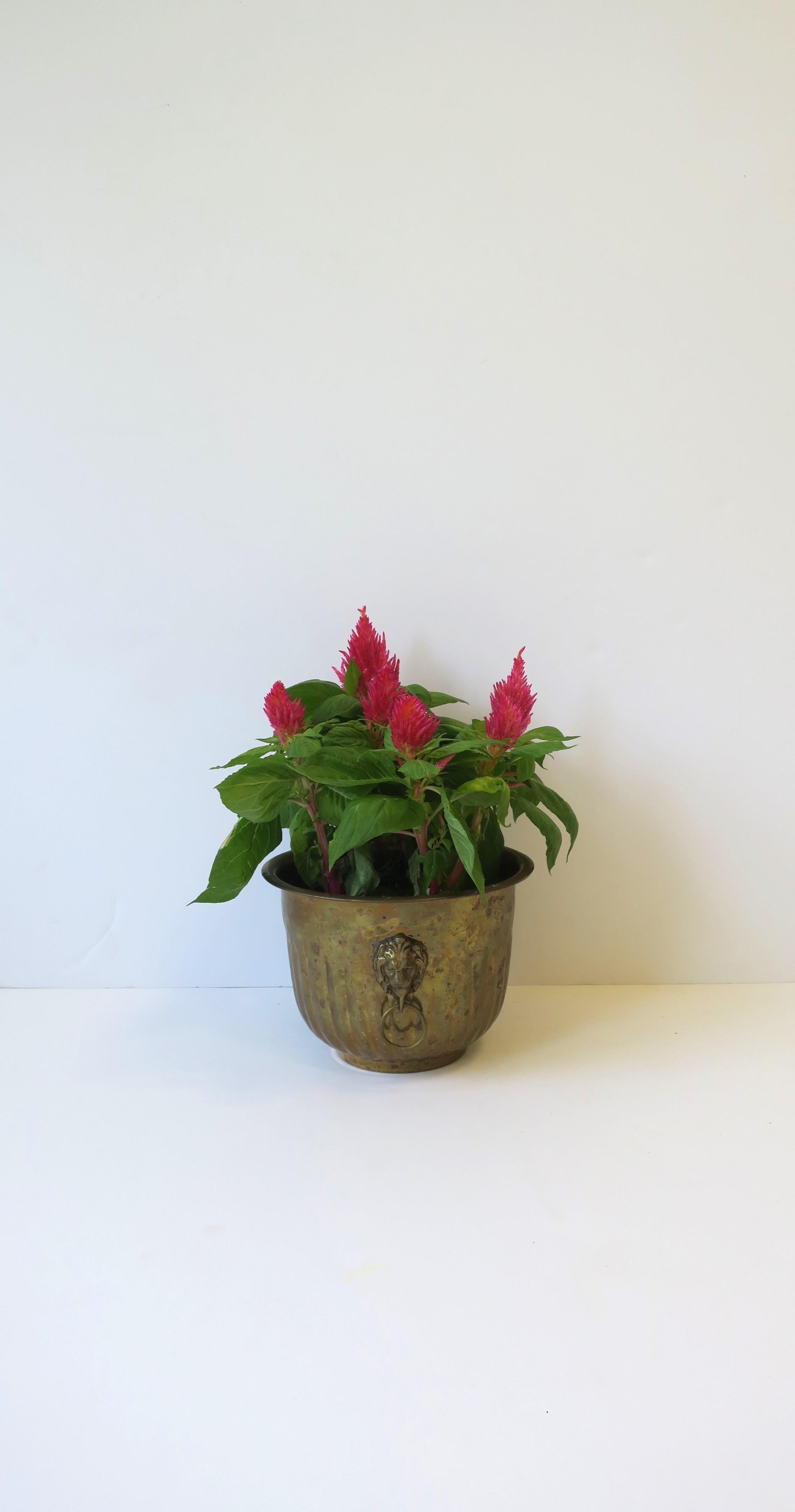 20th Century Brass Flower Plant Holder Cachepot Jardiniere w/Lion Head Design Regency Style