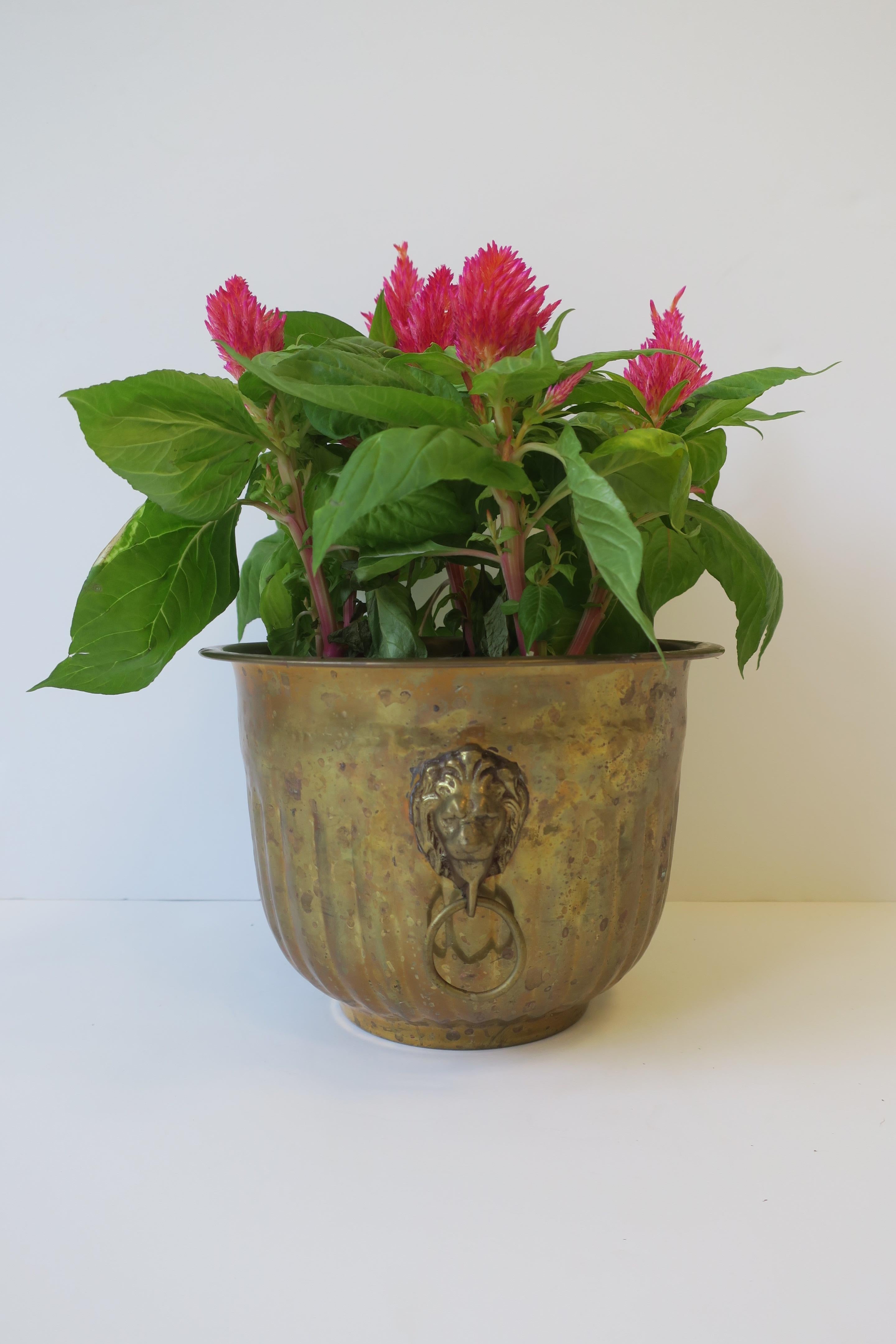 Brass Flower Plant Holder Cachepot Jardiniere w/Lion Head Design Regency Style 1
