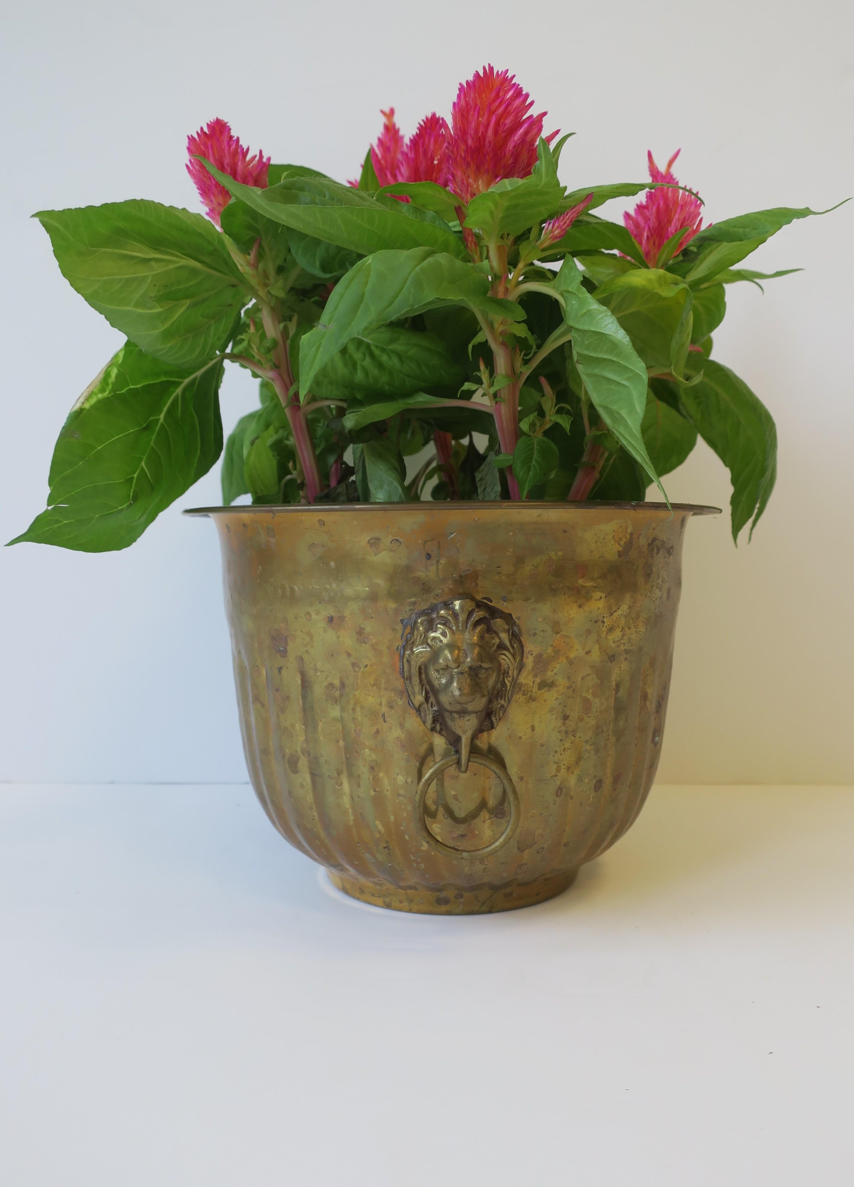Brass Flower Plant Holder Cachepot Jardiniere w/Lion Head Design Regency Style 2