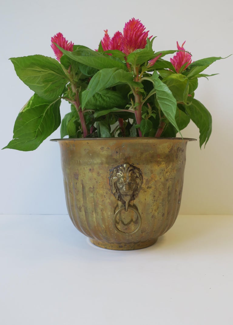 Brass Flower Plant Holder Cachepot Jardiniere w/Lion Head Design