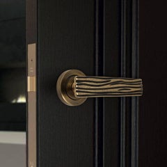 Solid brass lever handle from the Earth Prints collection: