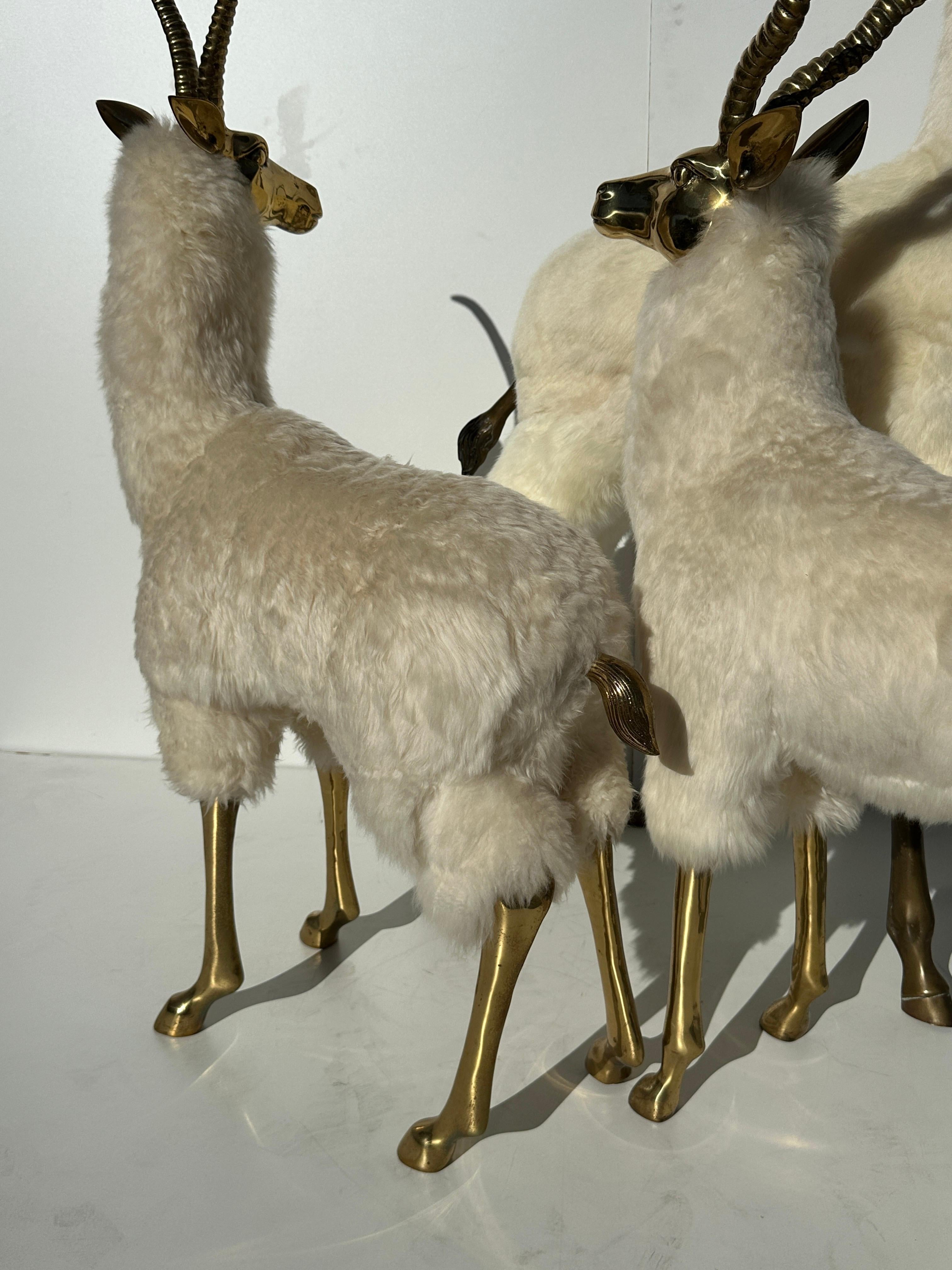 Brass Gazelle / Antelope Family Sculpture For Sale 8