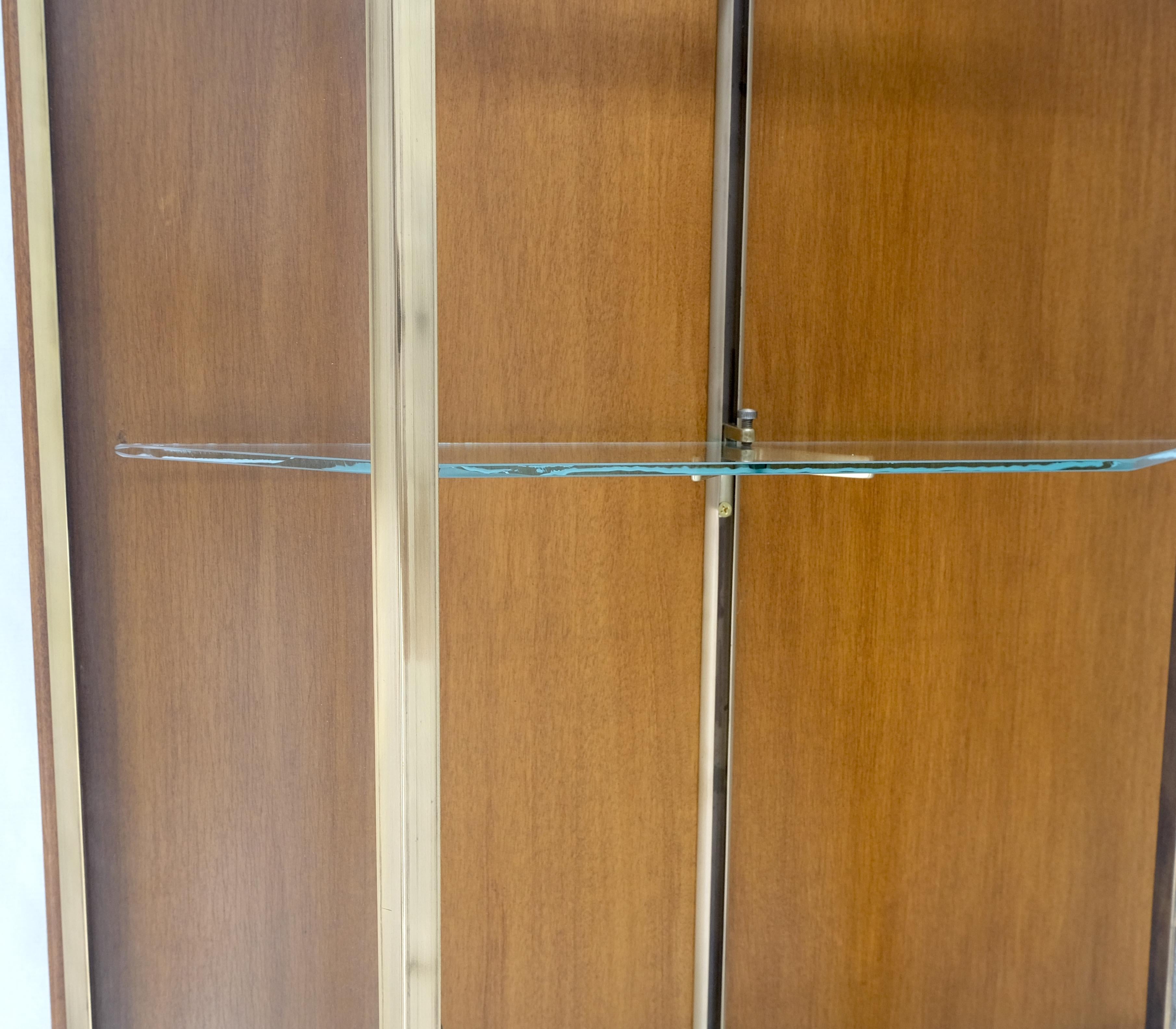 Mid-Century Modern Brass Glass Hanging Single Door Wall 