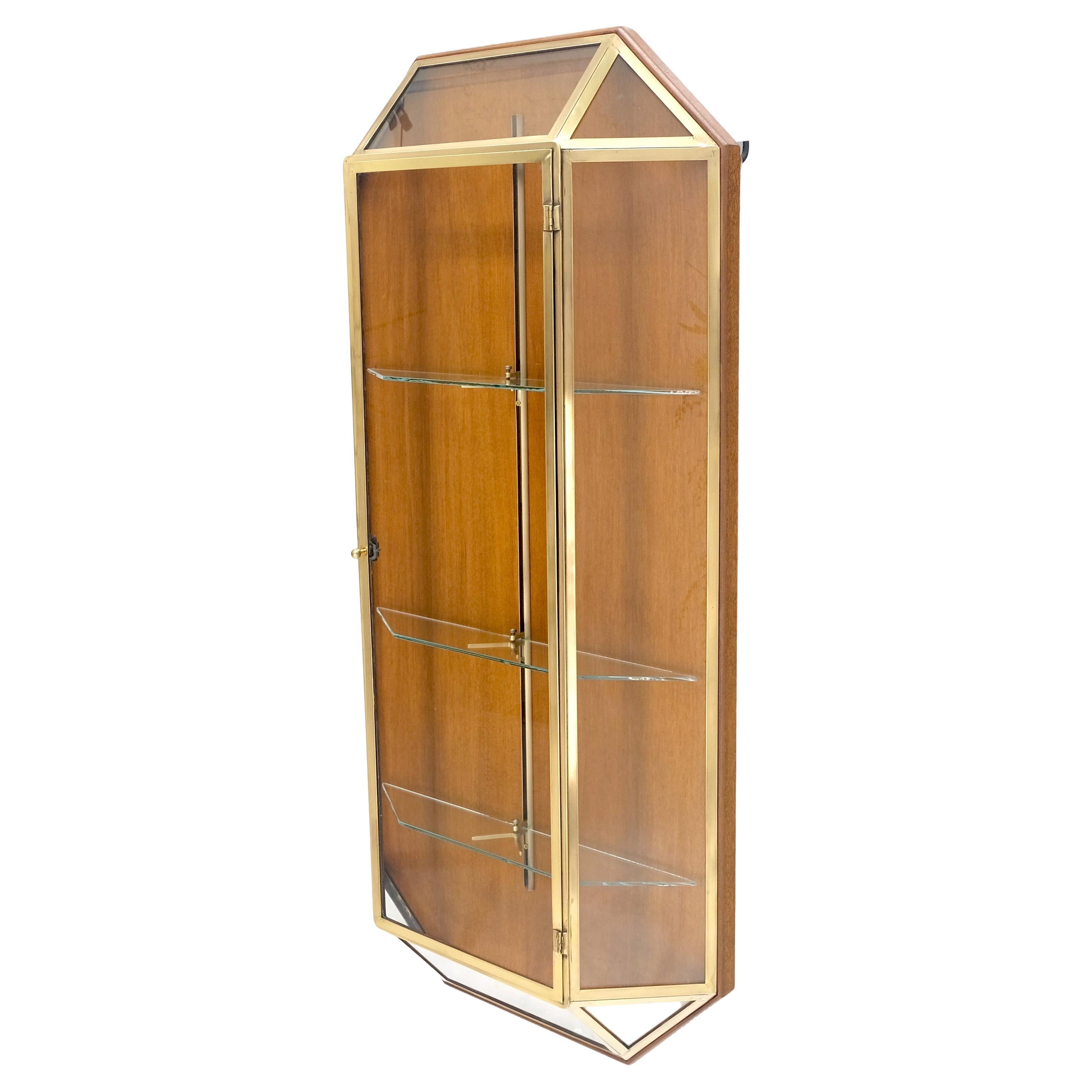 Brass Glass Hanging Single Door Wall "Picture" Hanging Showcase Display Shelves For Sale