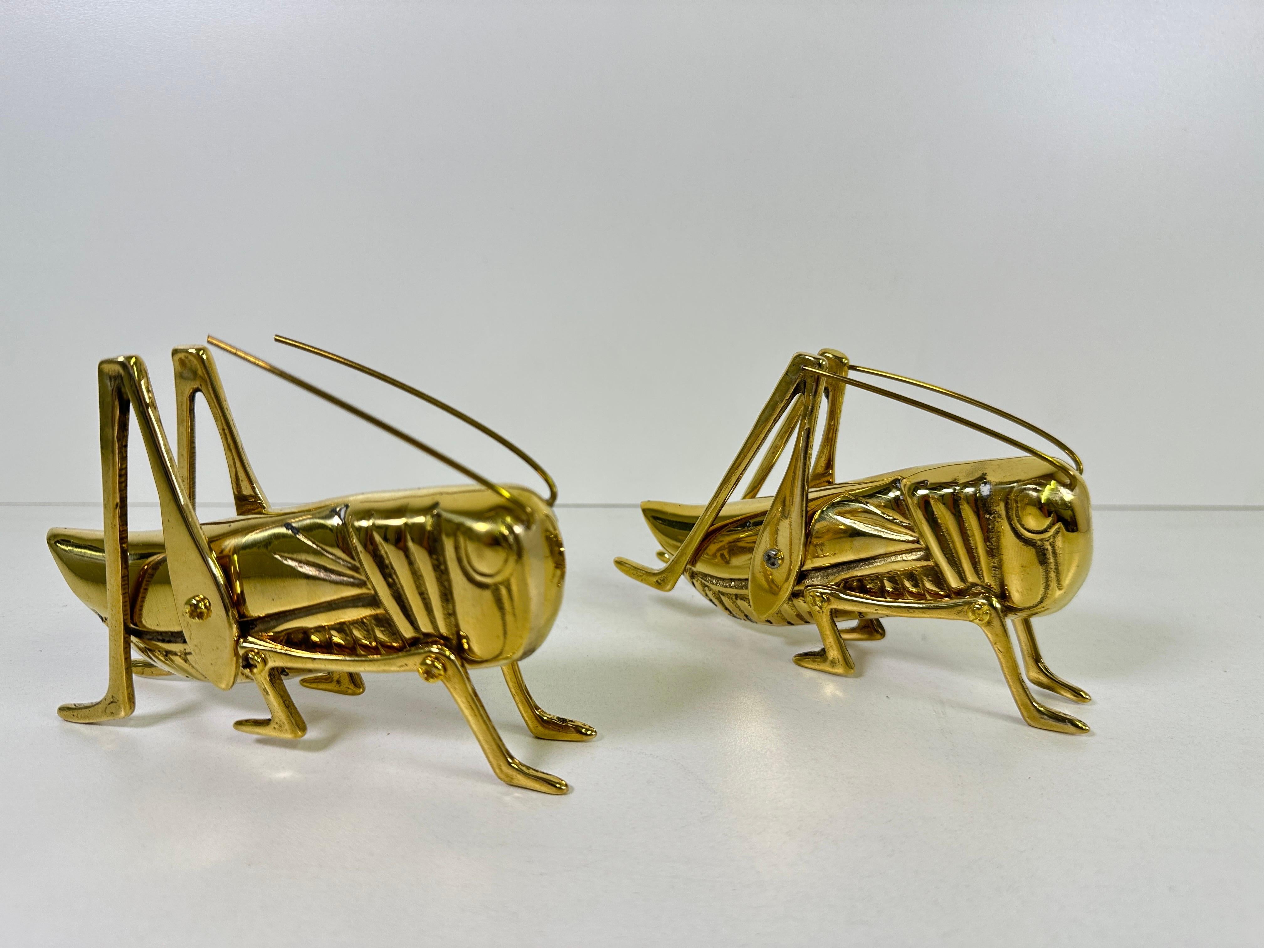 Famiglia delle cavallette d'ottone in vendita 3