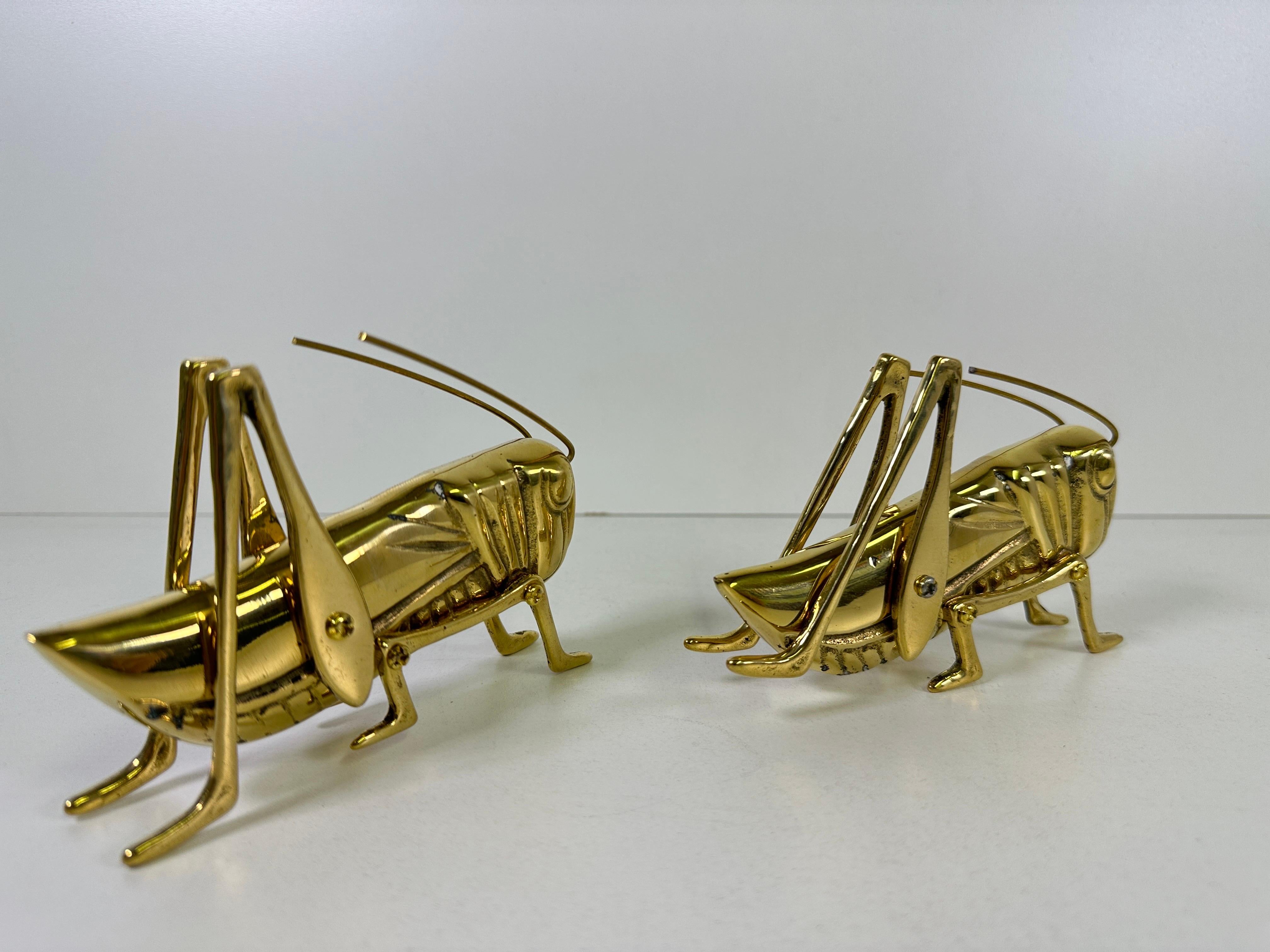 Famiglia delle cavallette d'ottone in vendita 4