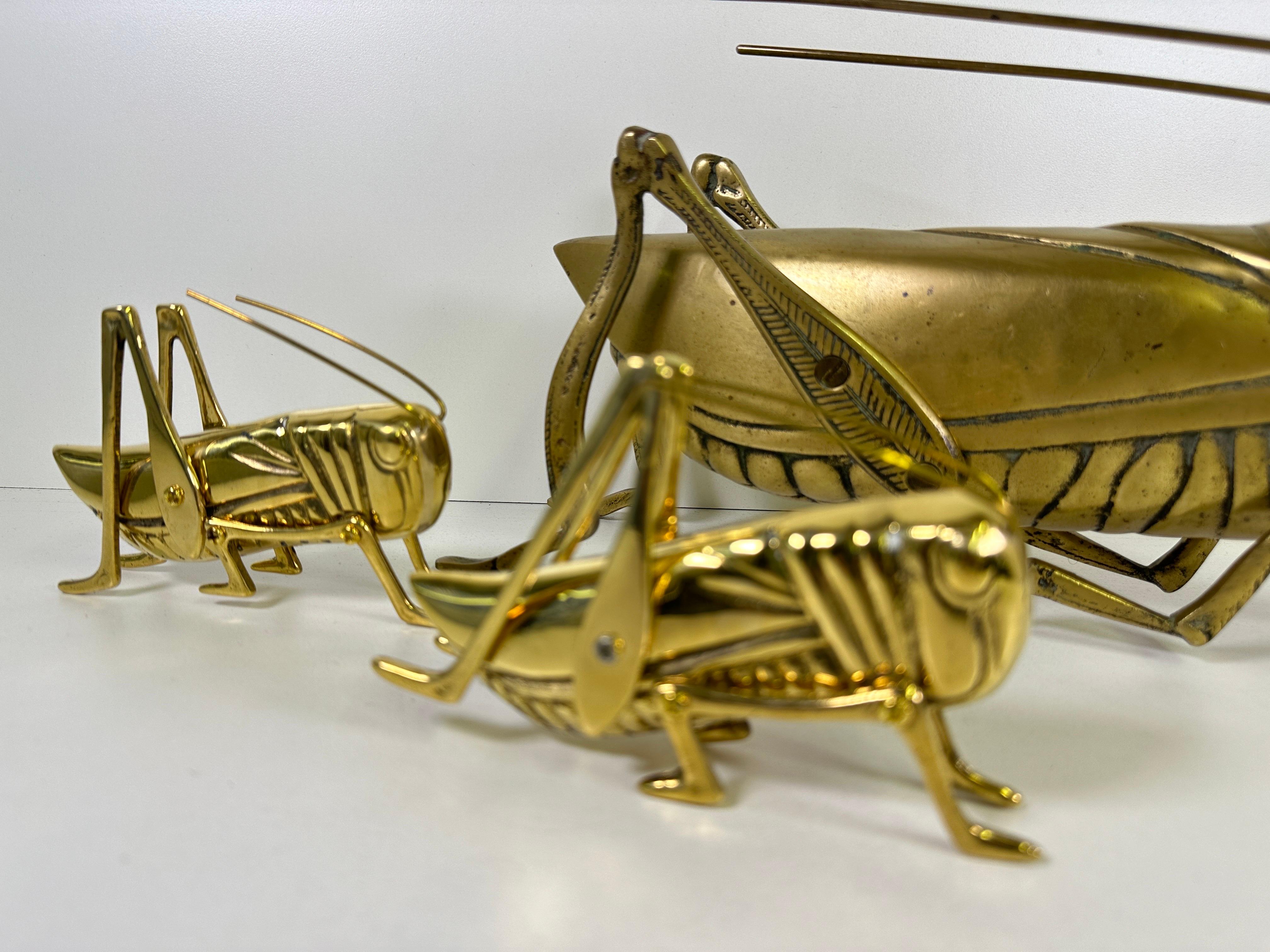 Patinato Famiglia delle cavallette d'ottone in vendita