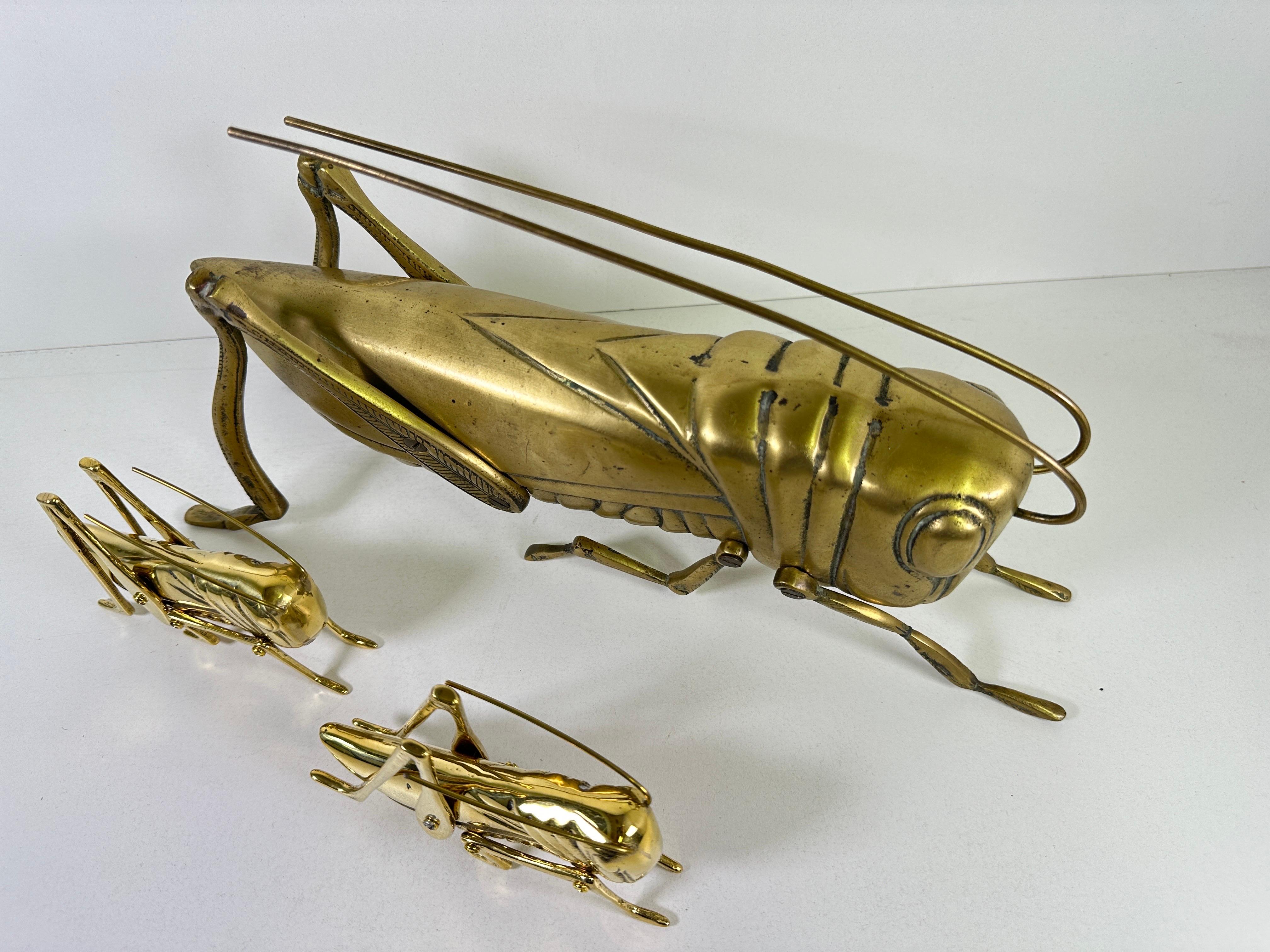 Famiglia delle cavallette d'ottone in vendita 1