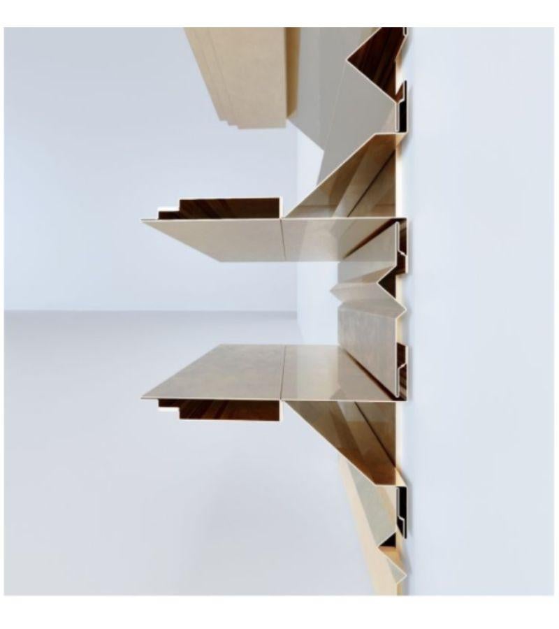 Modern Brass Item 4 Turning Points Bookcase Shelf by Scattered Disc Objects