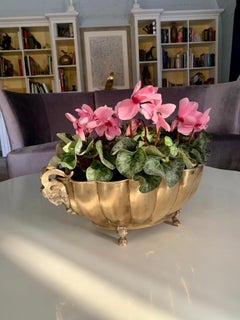 Brass Jardinière with Rams Head Handles and Paw Feet