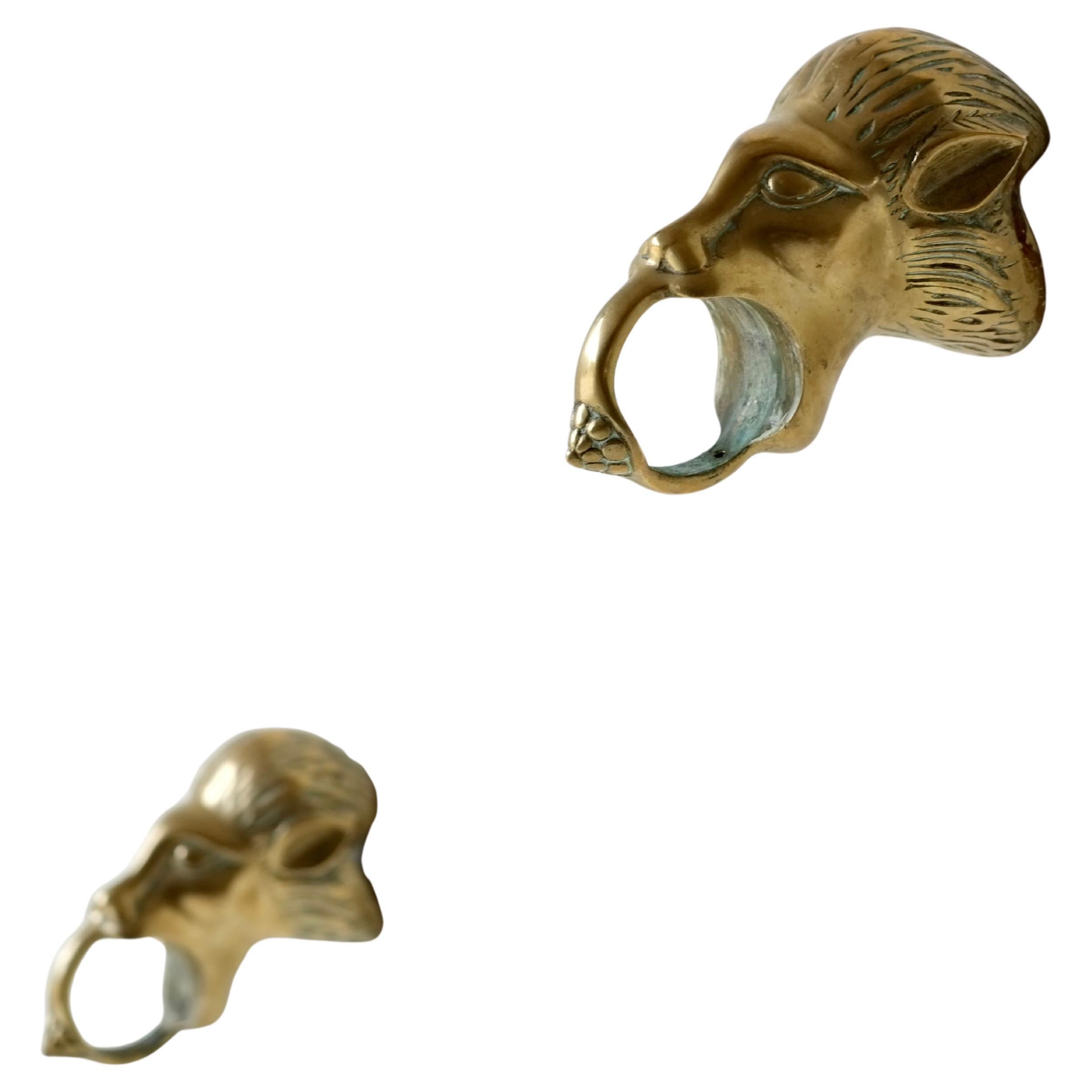 Brass Lion Hooks