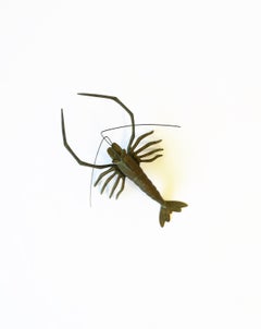 Japanese Brass Lobster Sculpture Decorative Object