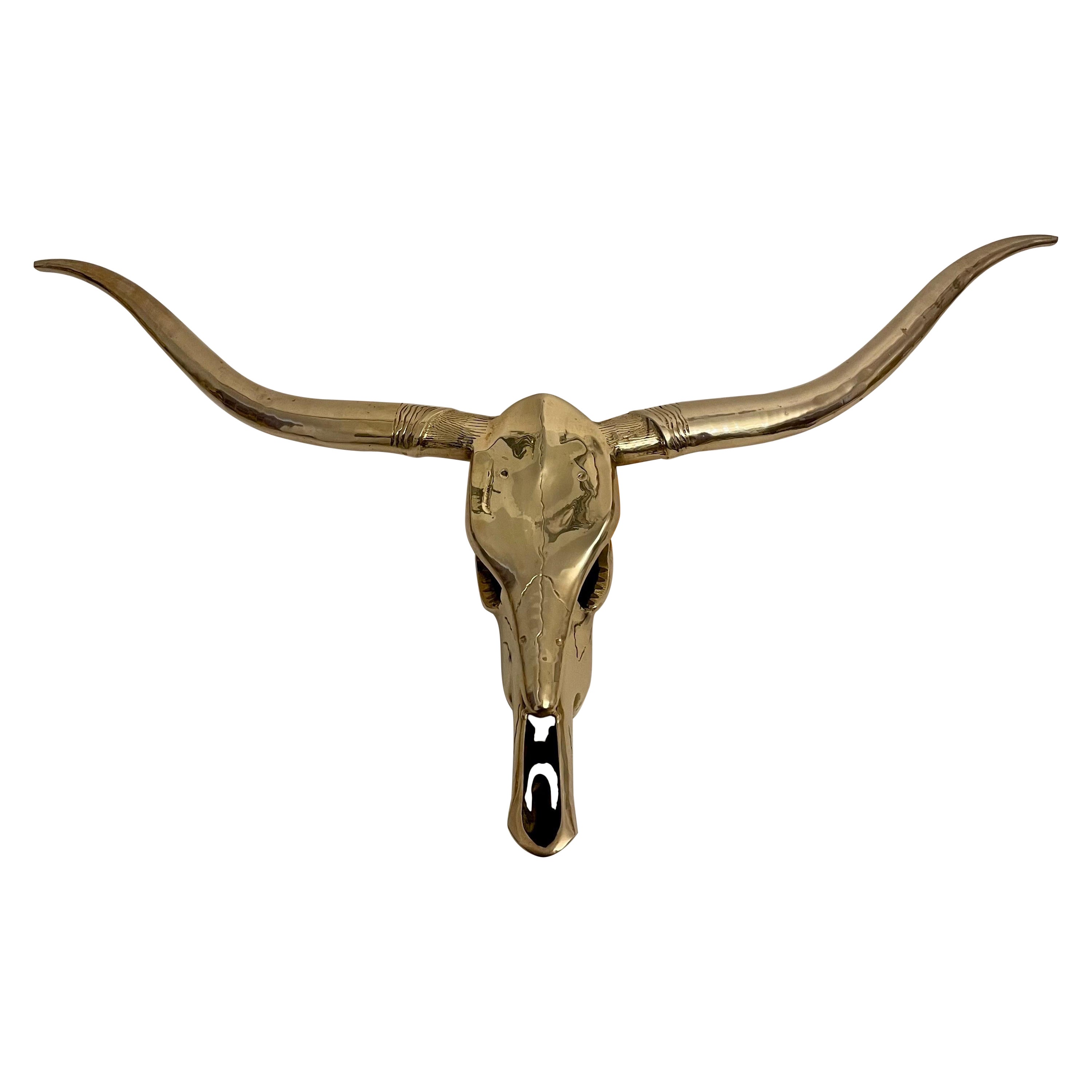 Scultura da parete Longhorn in ottone
