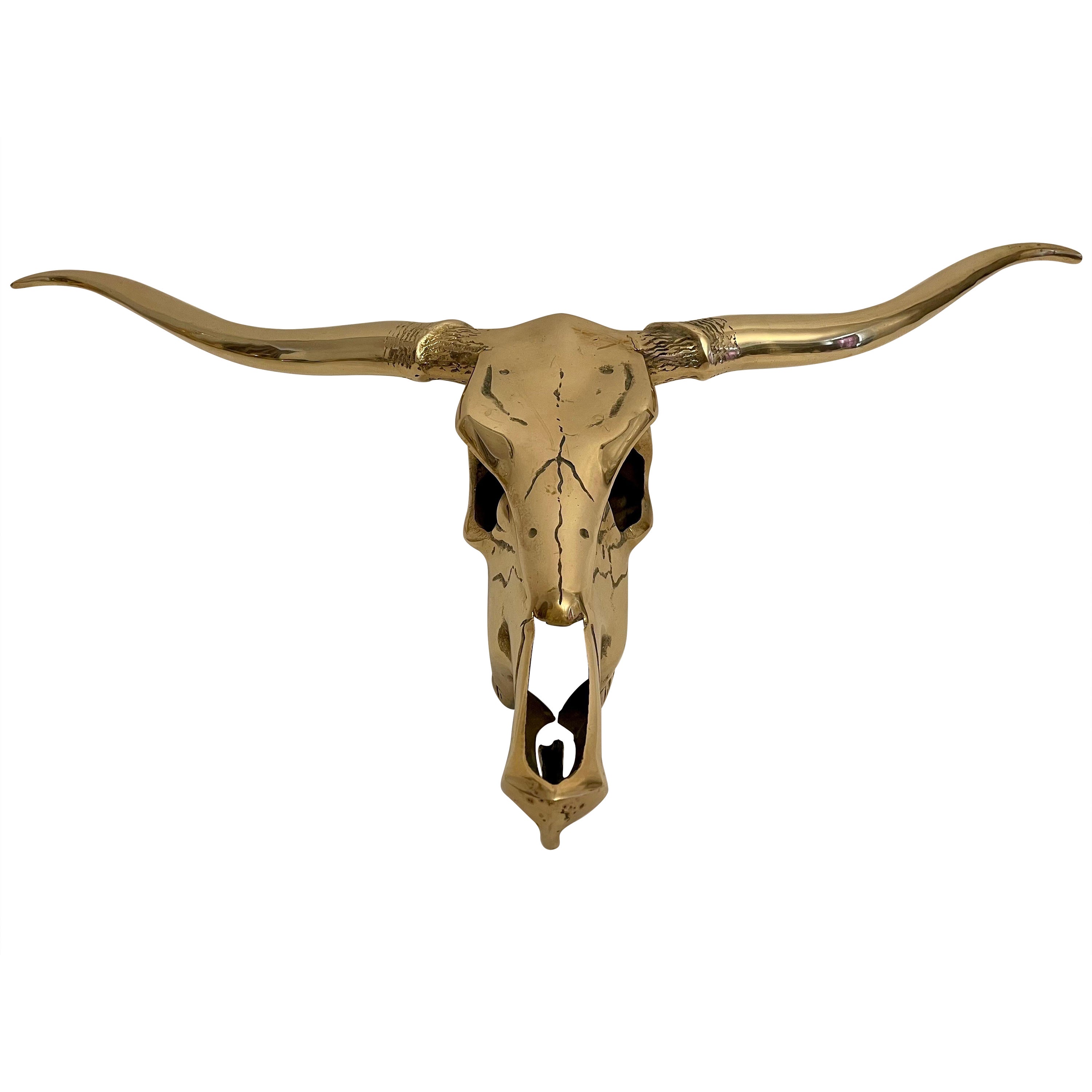 Brass Longhorn Wall Sculpture
