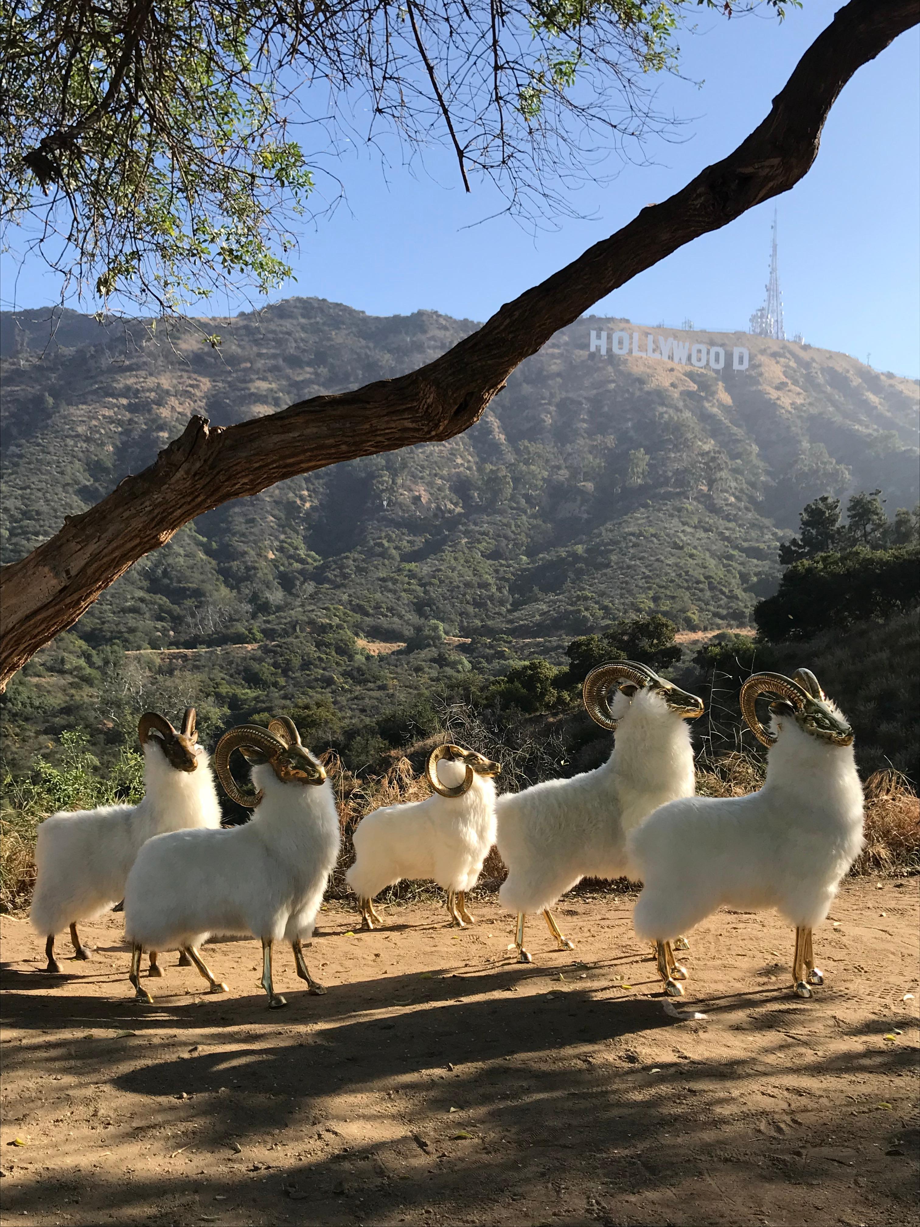 Brass Mountain Sheep or Goat Sculpture 6