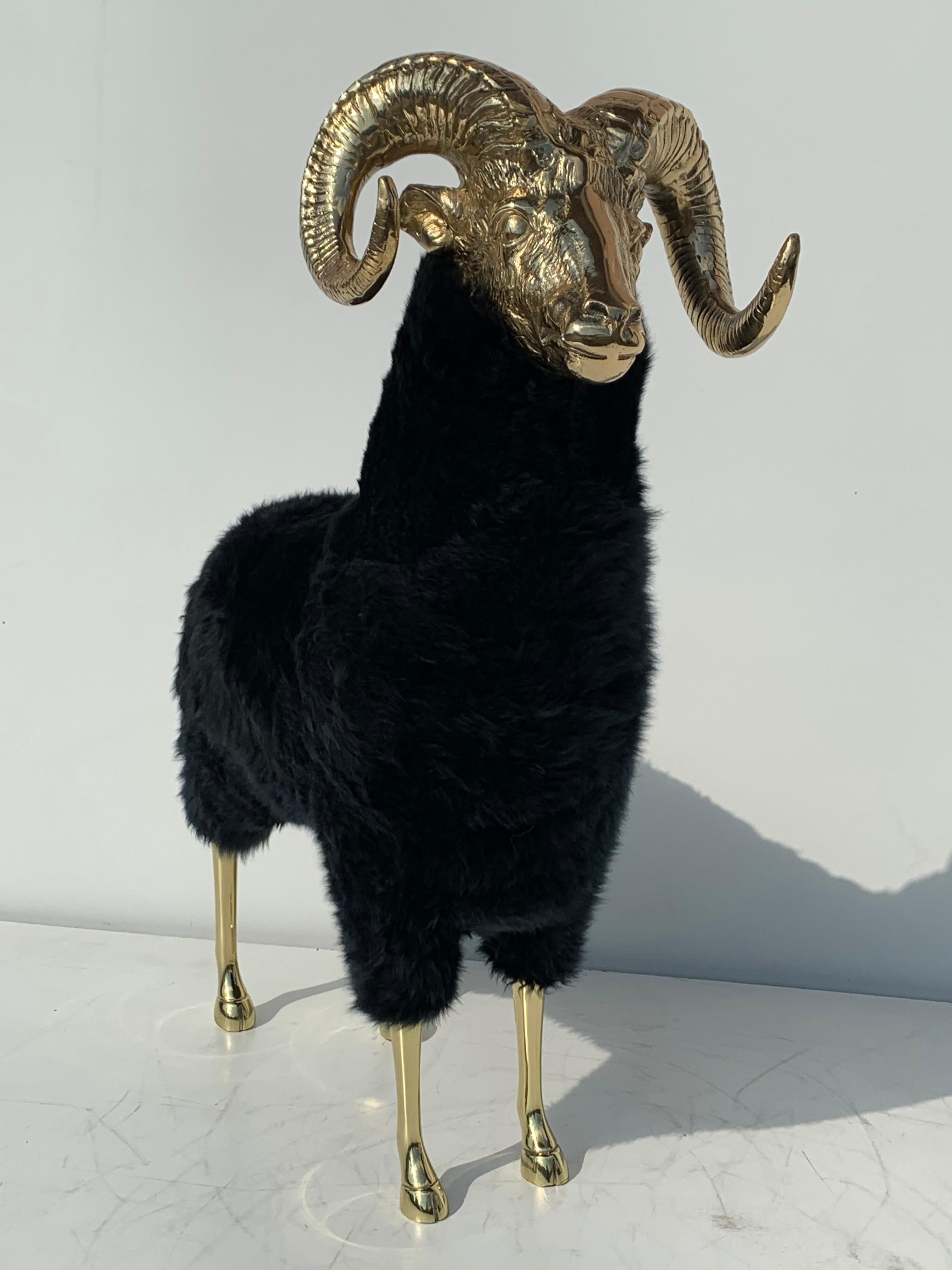 Brass mountain sheep or ram sculpture. Solid brass head is vintage from 1970's and has been newly polished. Body is newly made of wood and covered in real sheep fur.

  