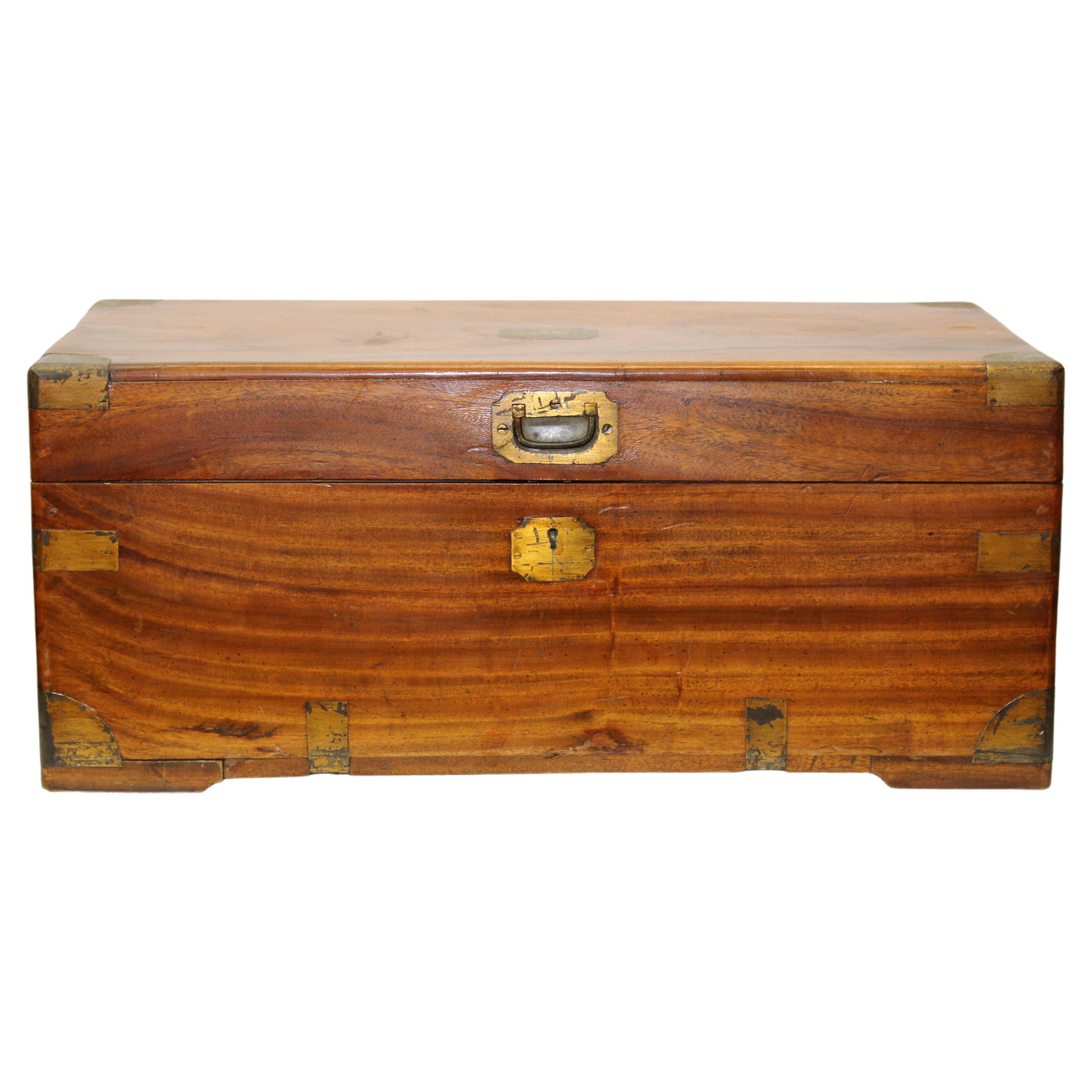 Camphor Chest mit Messingbeschlägen